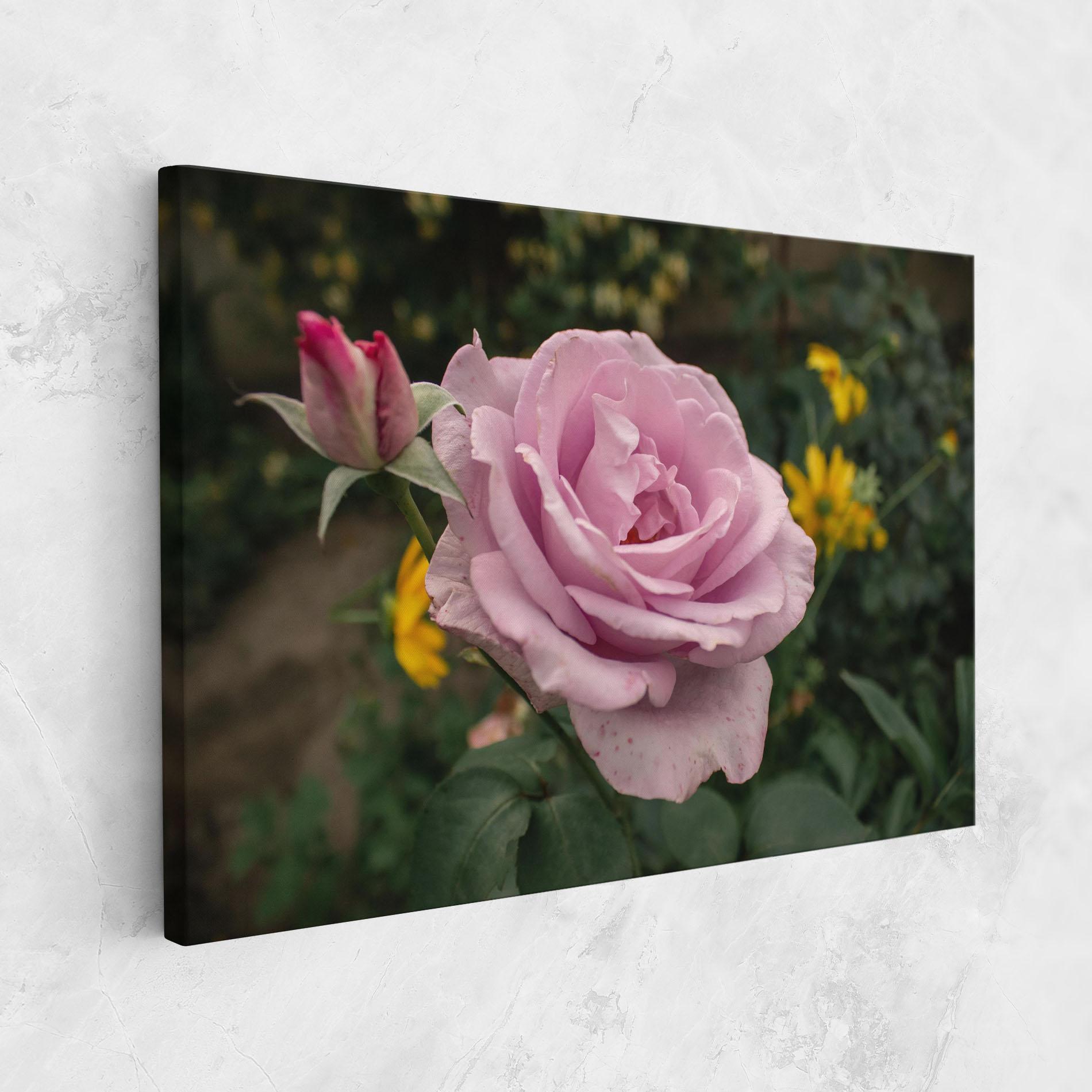 Vászonkép Garden Pink Rose mockup 1