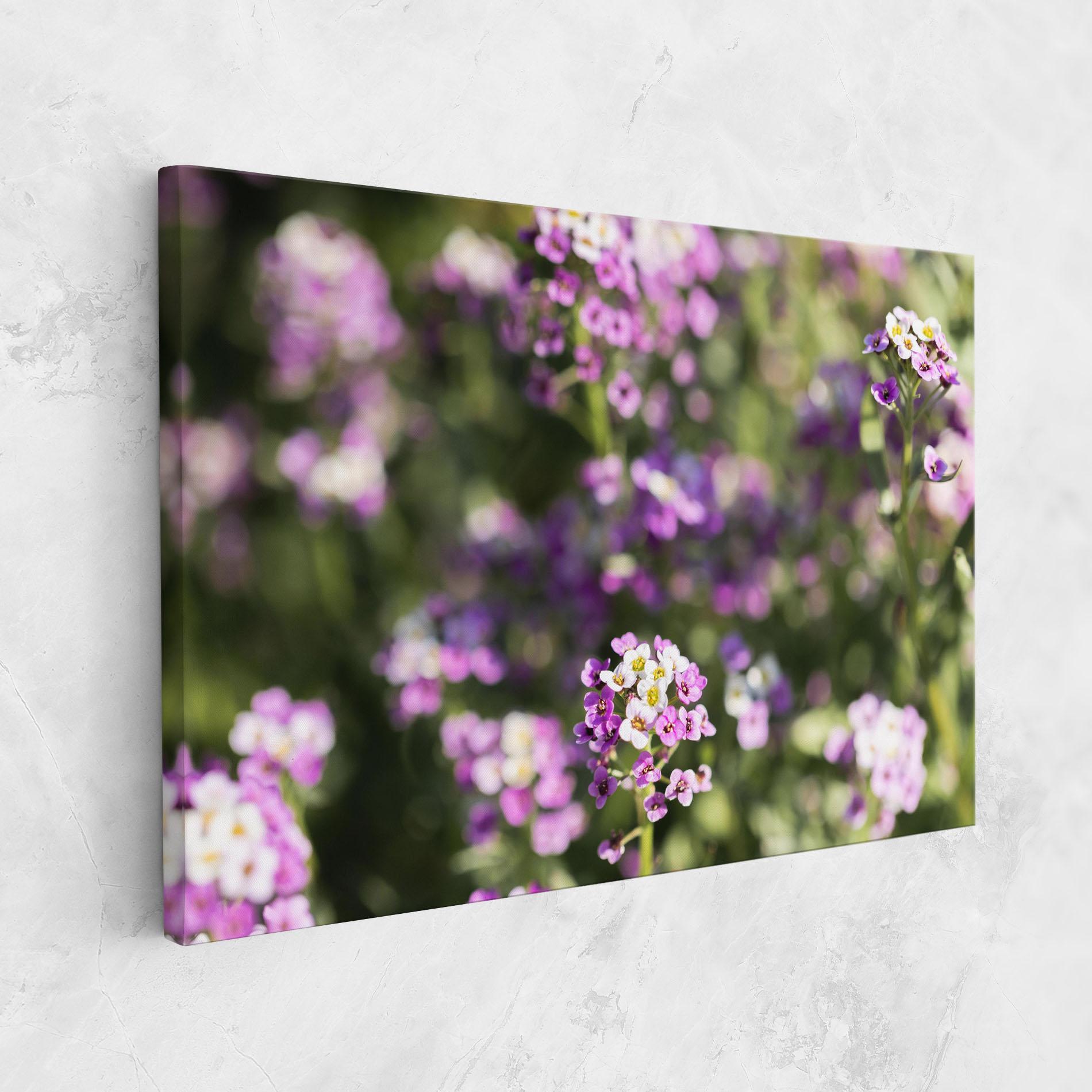 Vászonkép Wild Purple Field mockup 1