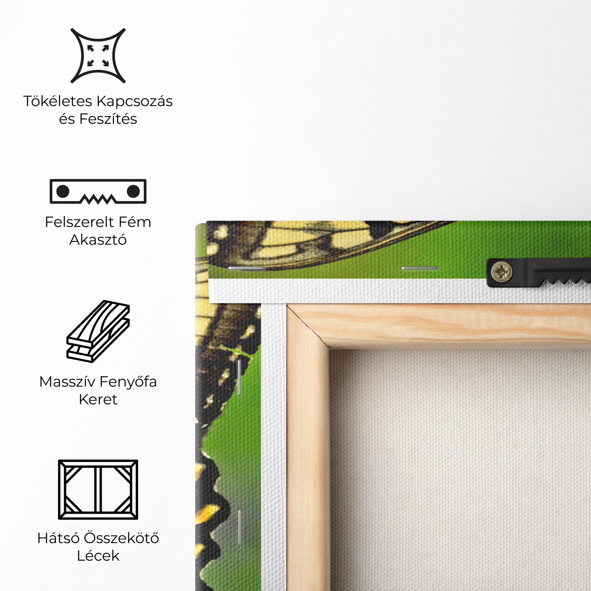 Vászonkép Cream Wild Butterfly mockup 5