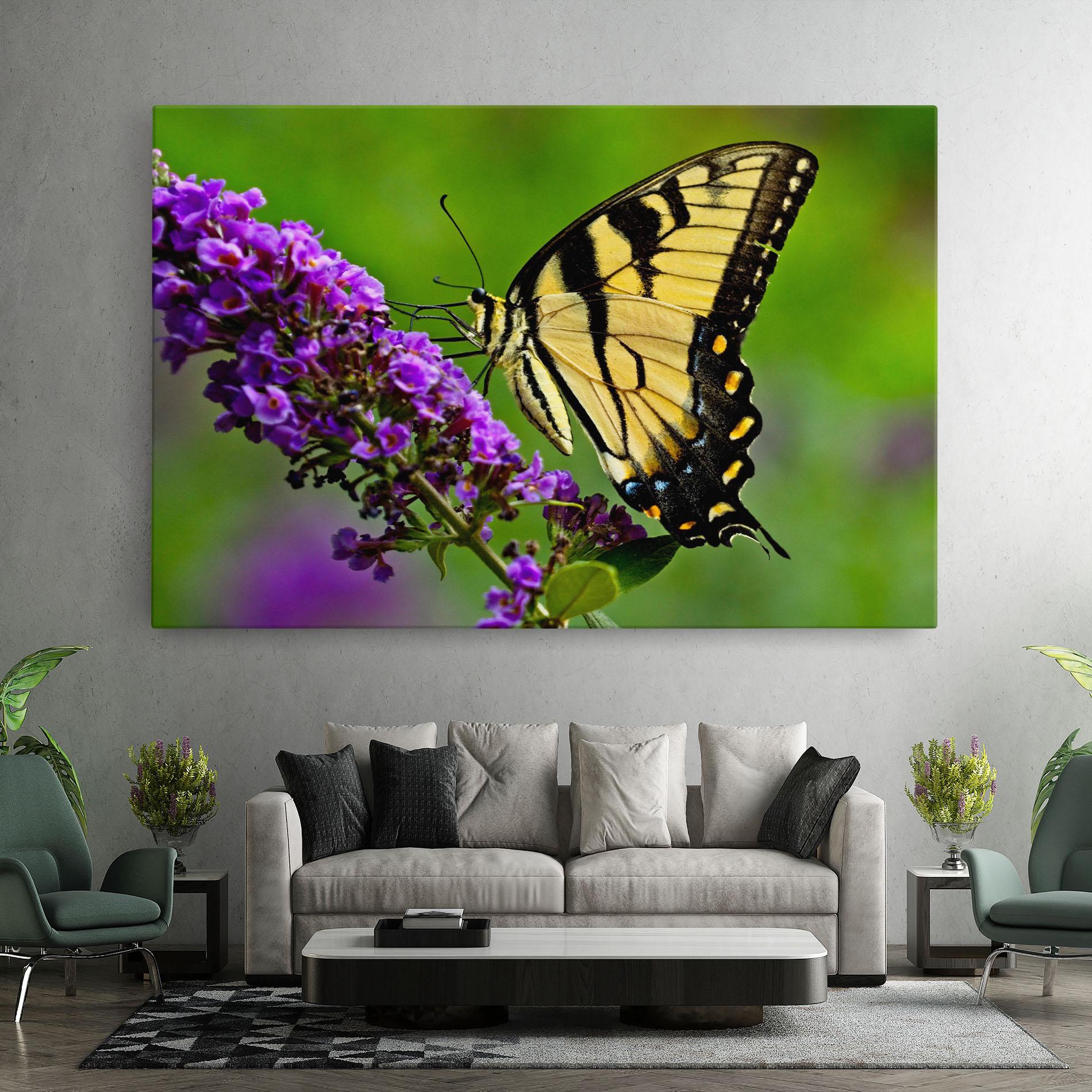 Vászonkép Cream Wild Butterfly mockup 7