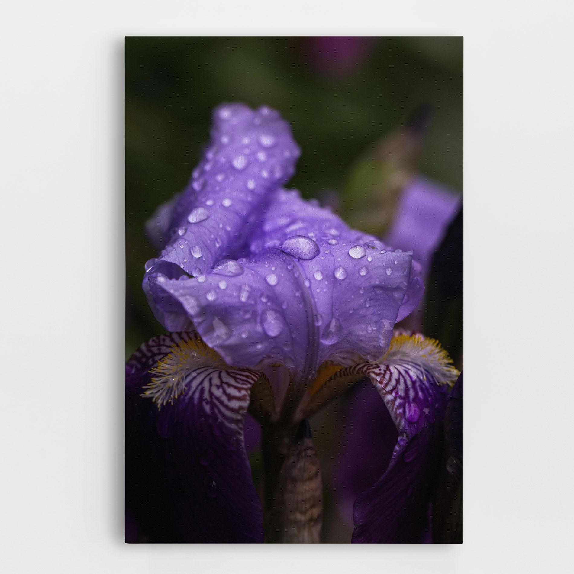 Vászonkép Rain In The Garden mockup 0