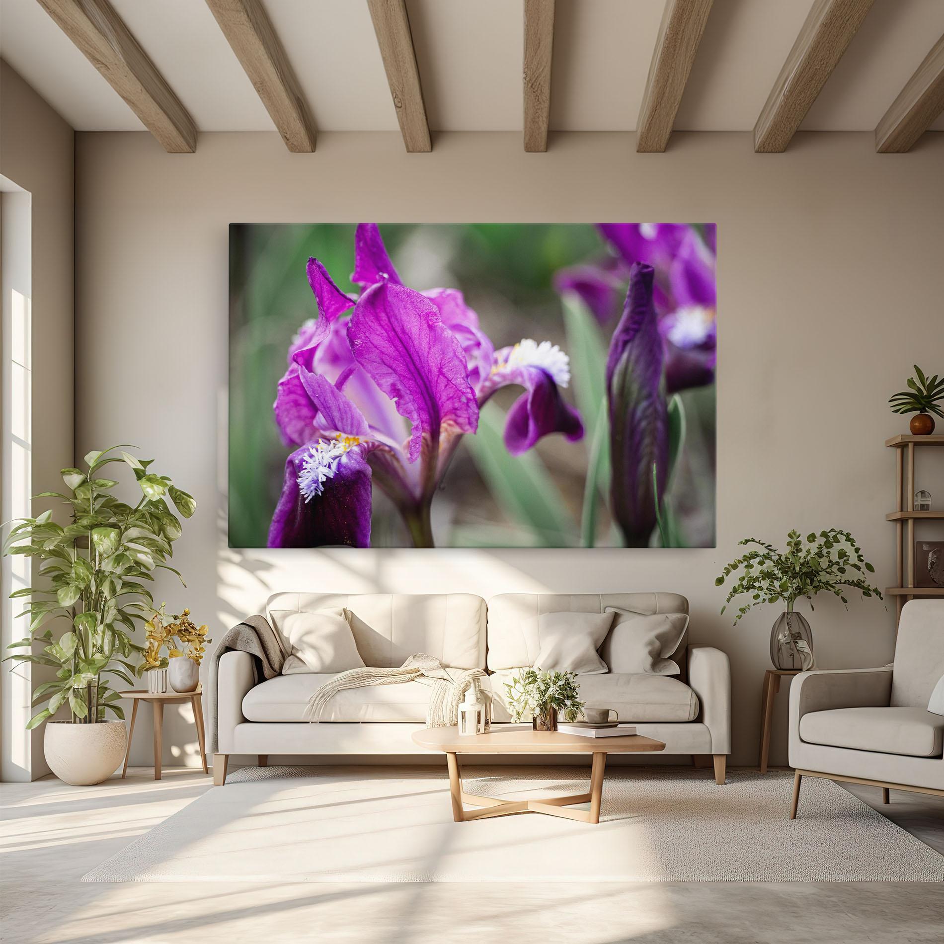 Vászonkép Dark Pink Iris mockup 6