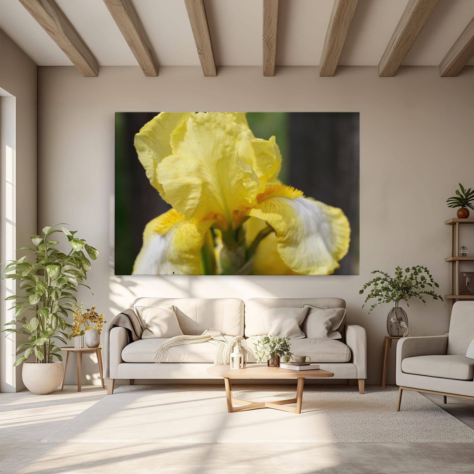 Vászonkép Garden Yellow Iris mockup 6