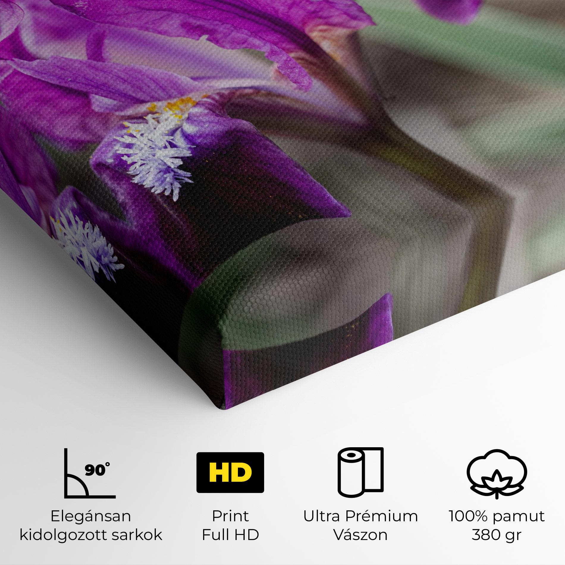 Vászonkép Dark Pink Iris mockup 4