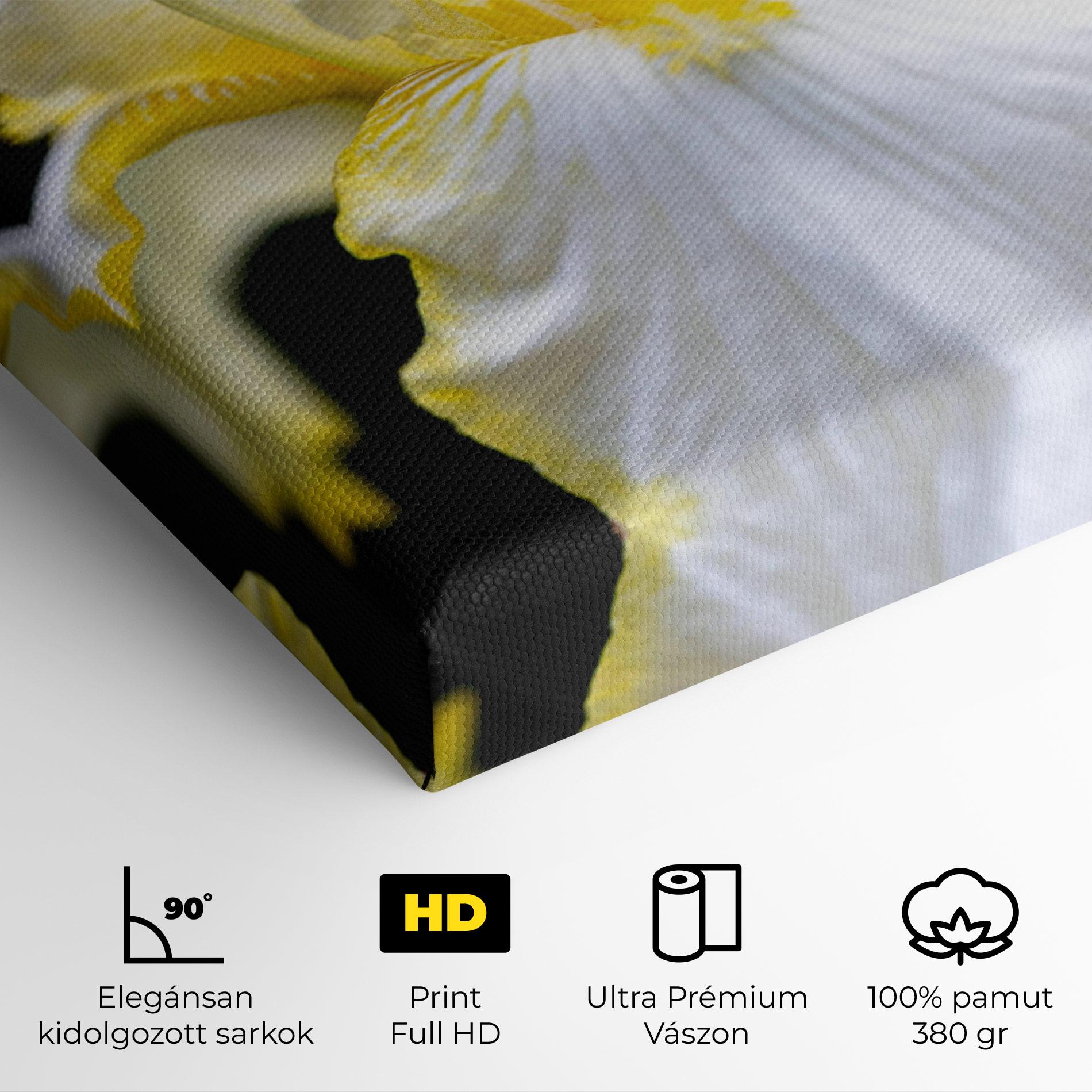 Vászonkép White Yellow Iris mockup 4