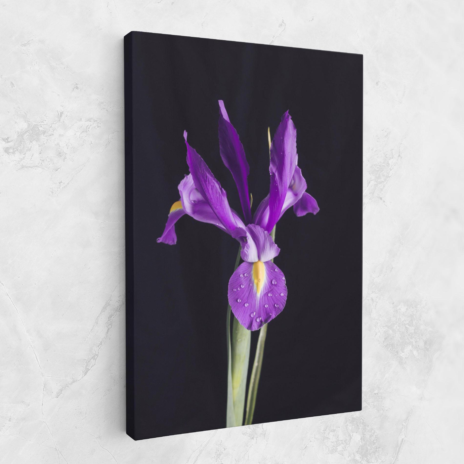 Vászonkép Fresh Purple Iris mockup 1