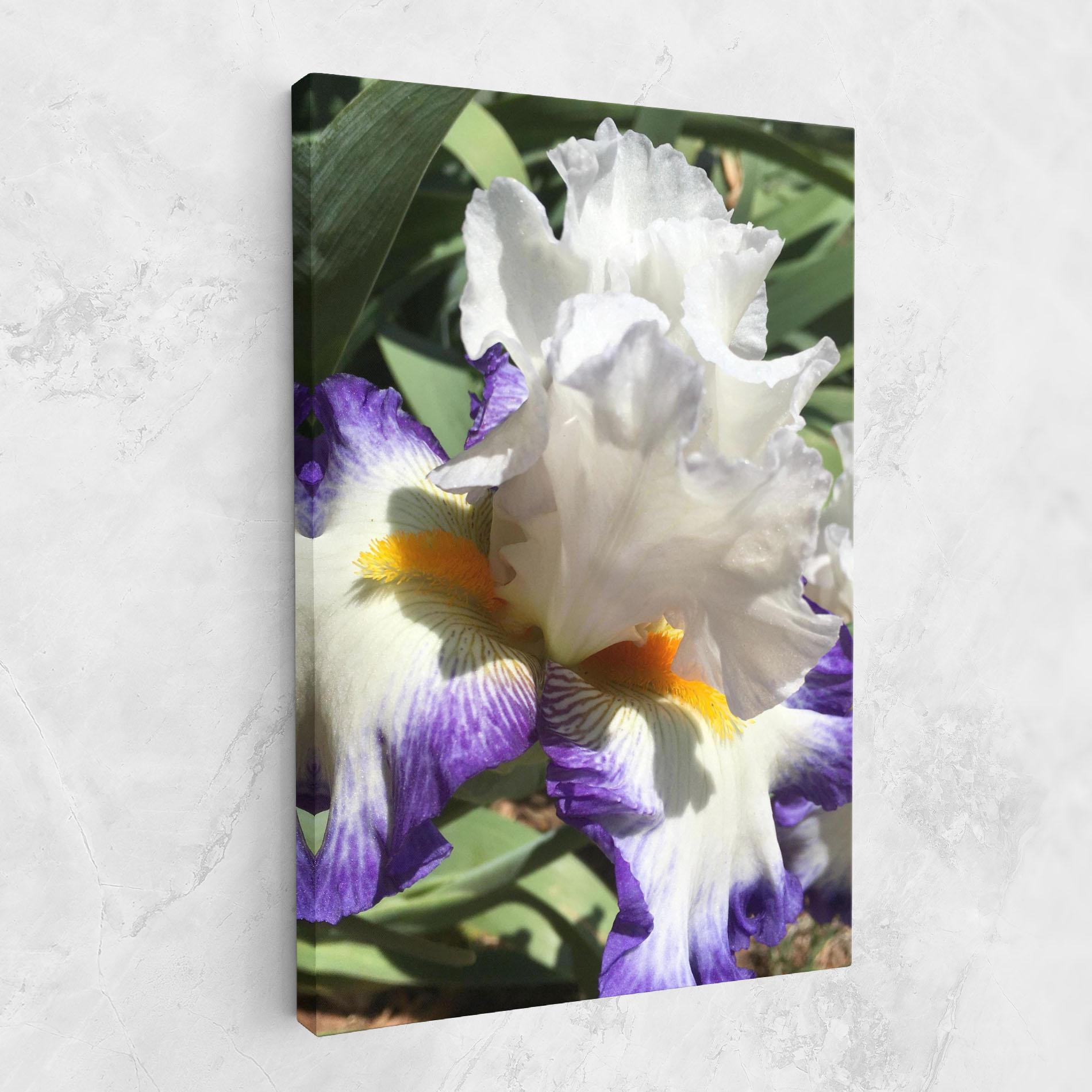 Vászonkép Garden White Purple Irirs mockup 1