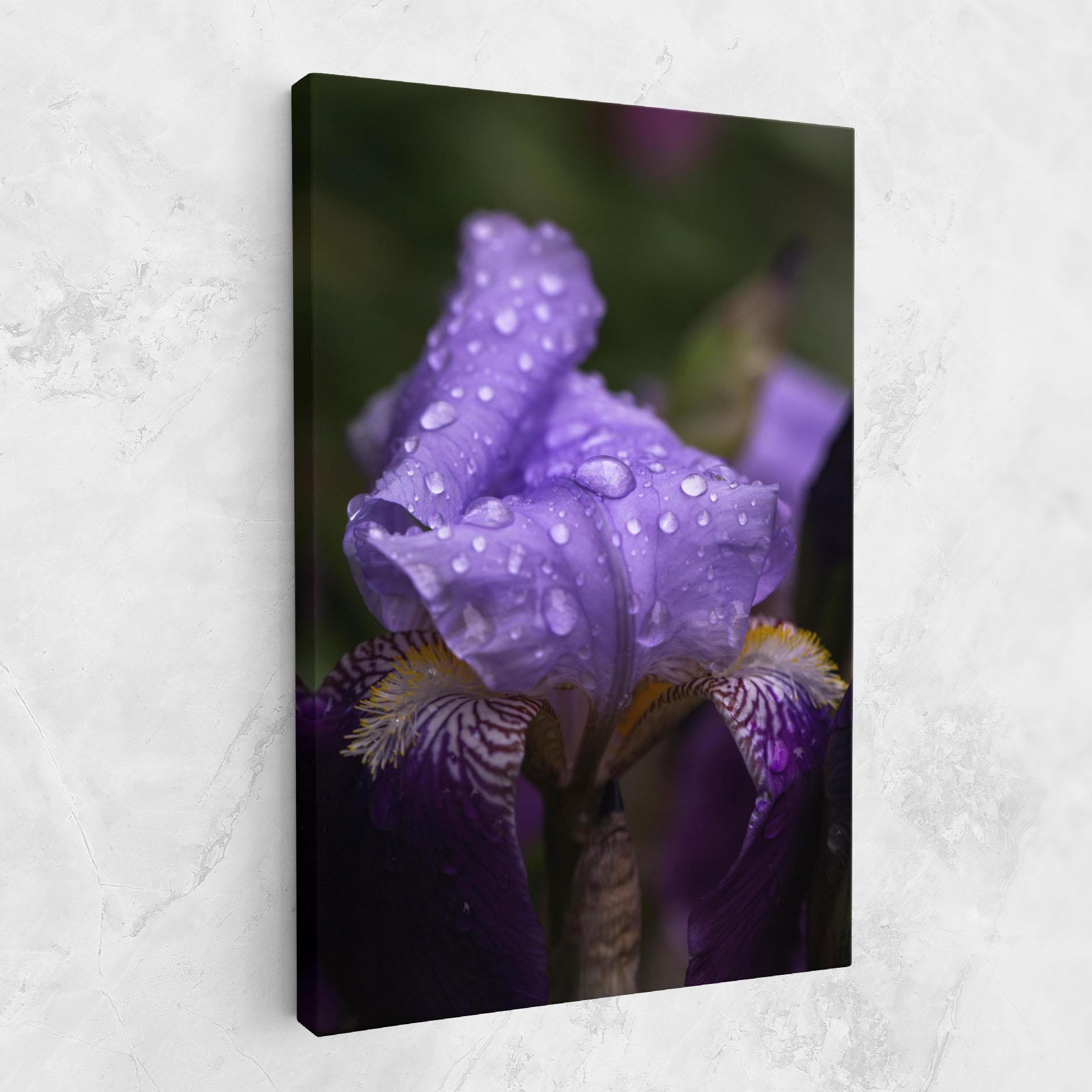 Vászonkép Rain In The Garden mockup 1