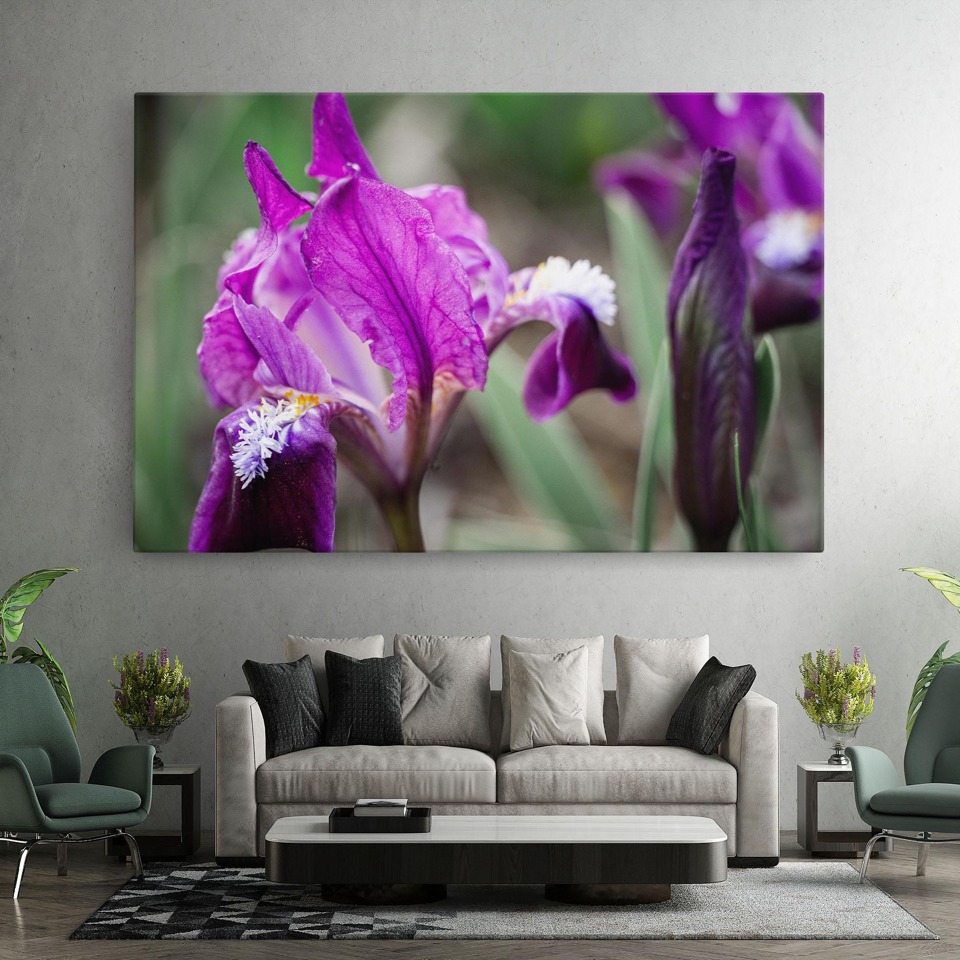 Vászonkép Dark Pink Iris mockup 7