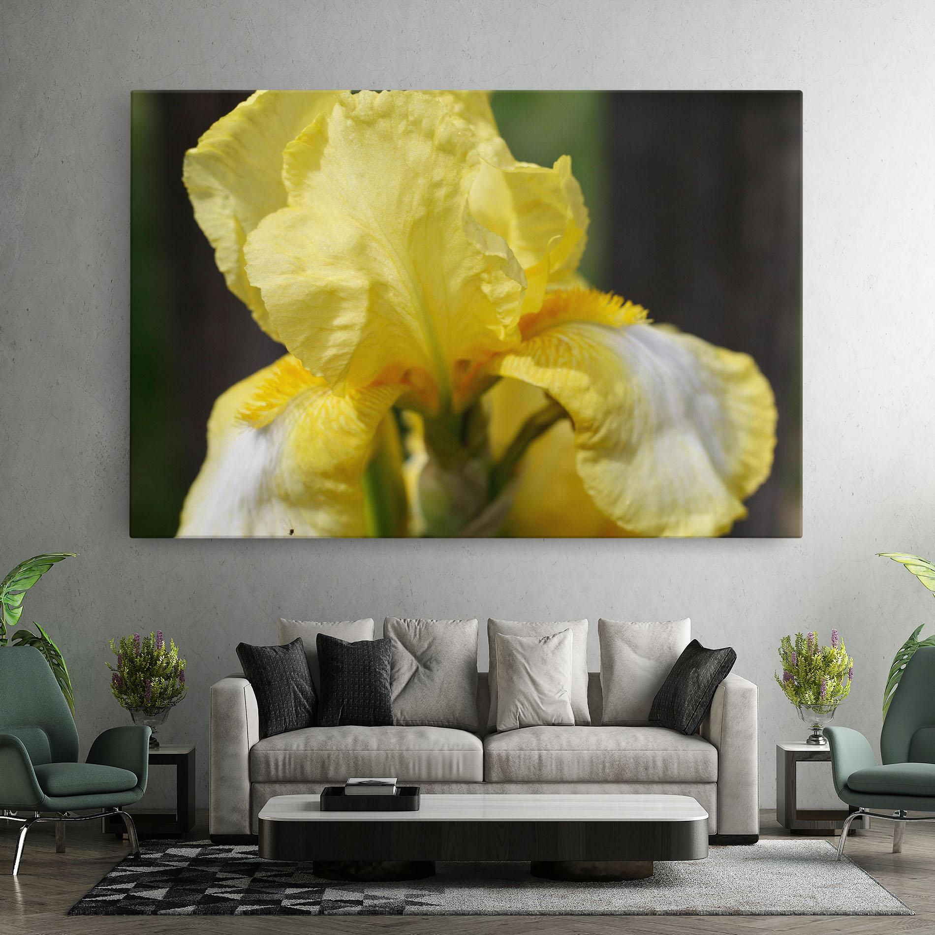 Vászonkép Garden Yellow Iris mockup 7