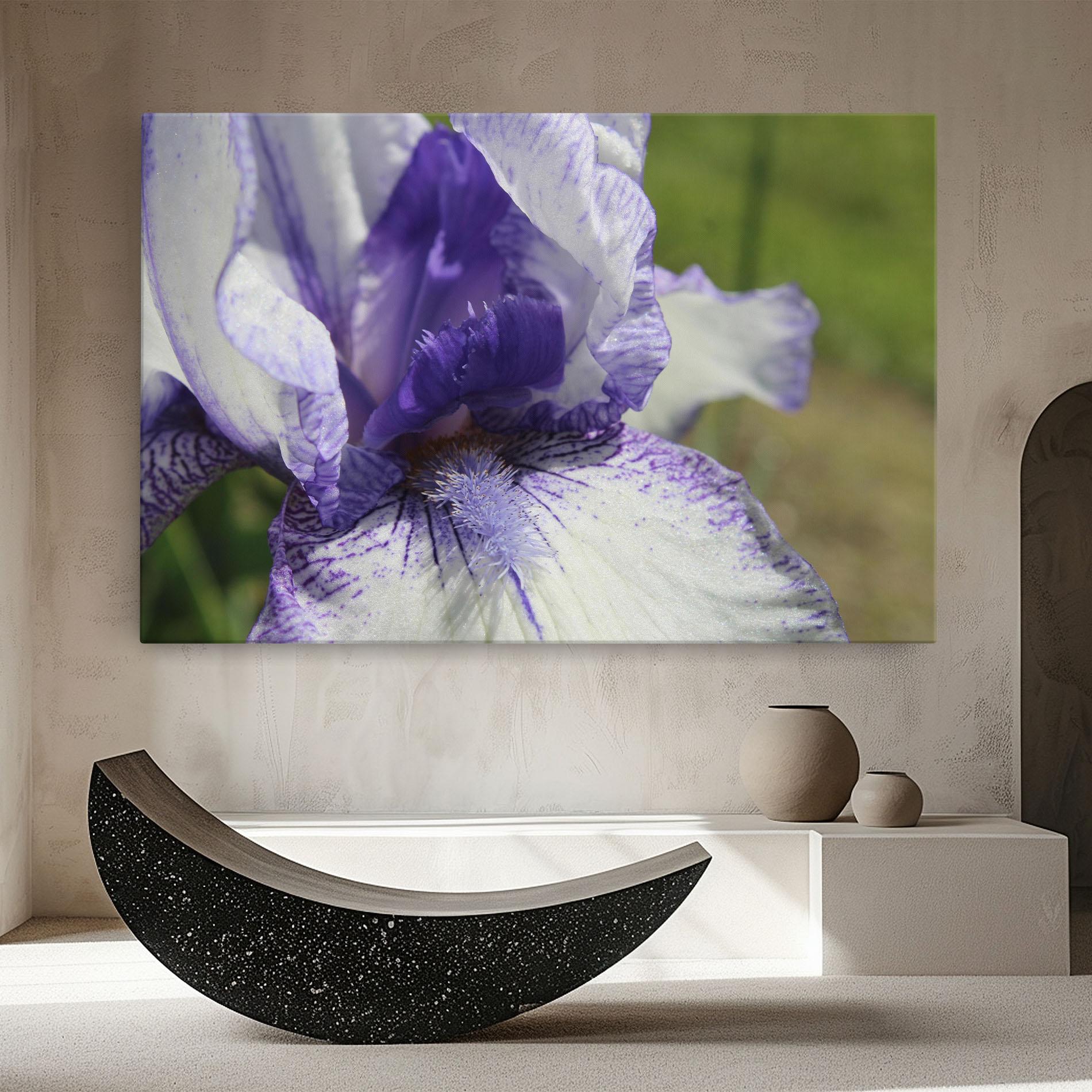 Vászonkép White Purple Iris mockup 8