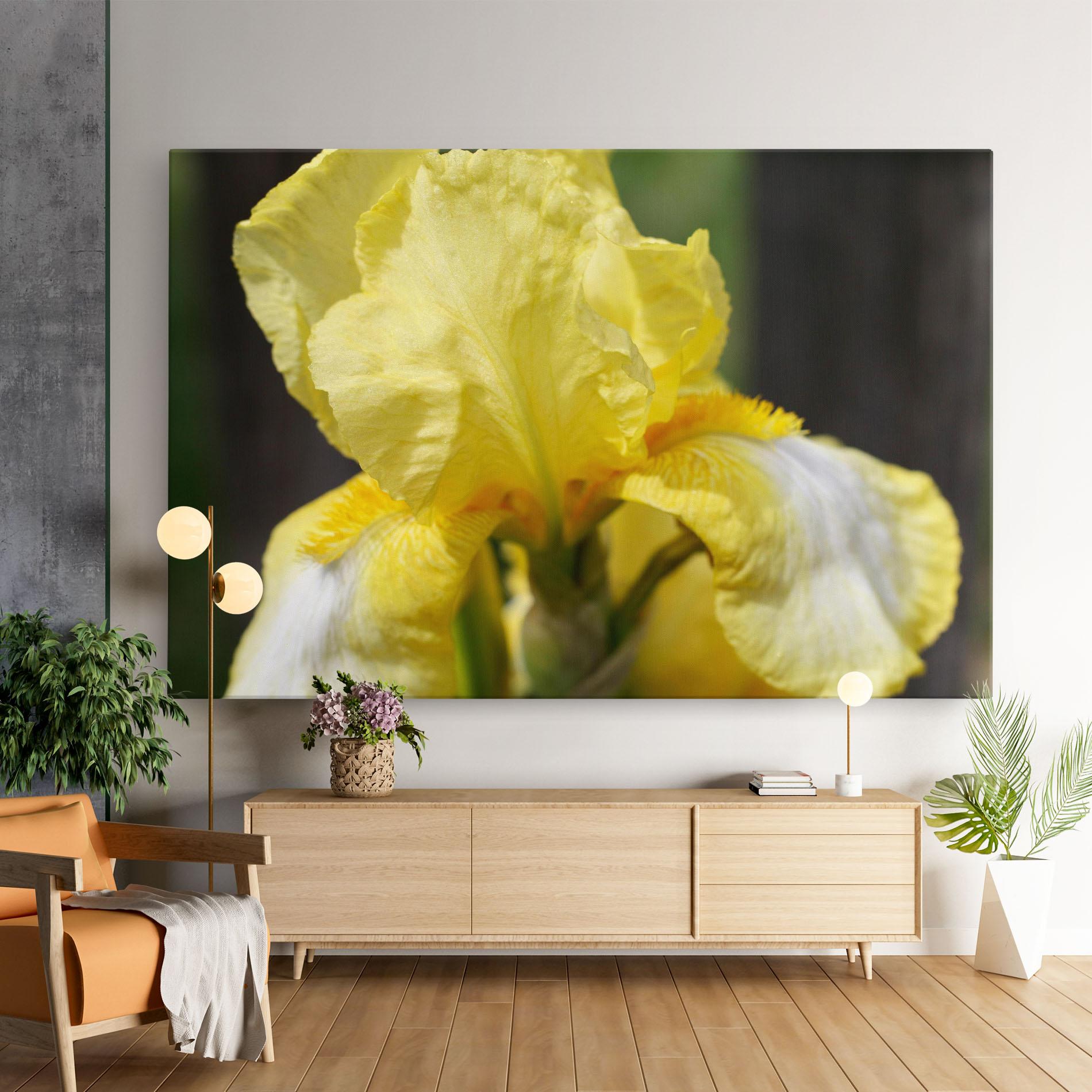 Vászonkép Garden Yellow Iris mockup 9