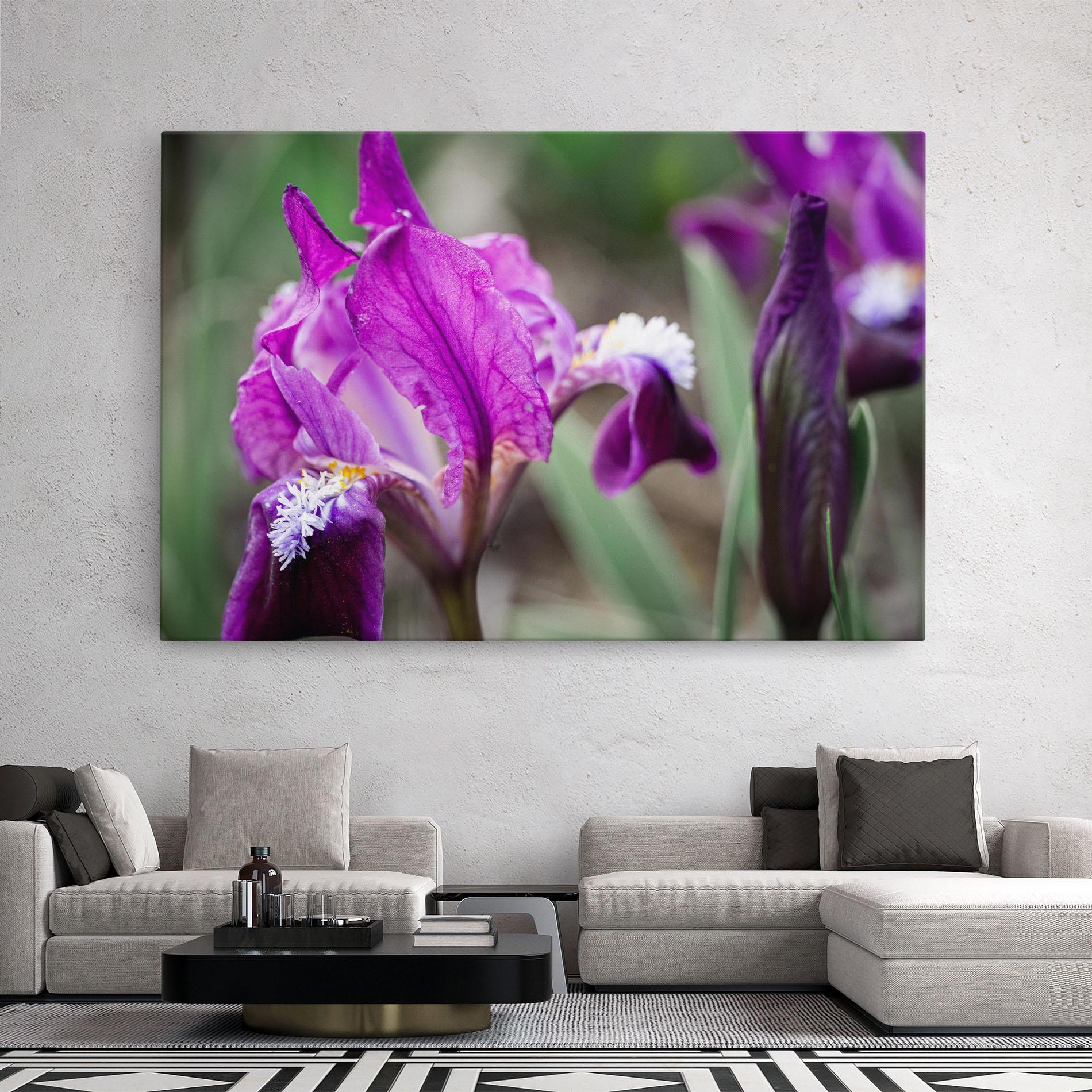 Vászonkép Dark Pink Iris mockup 2