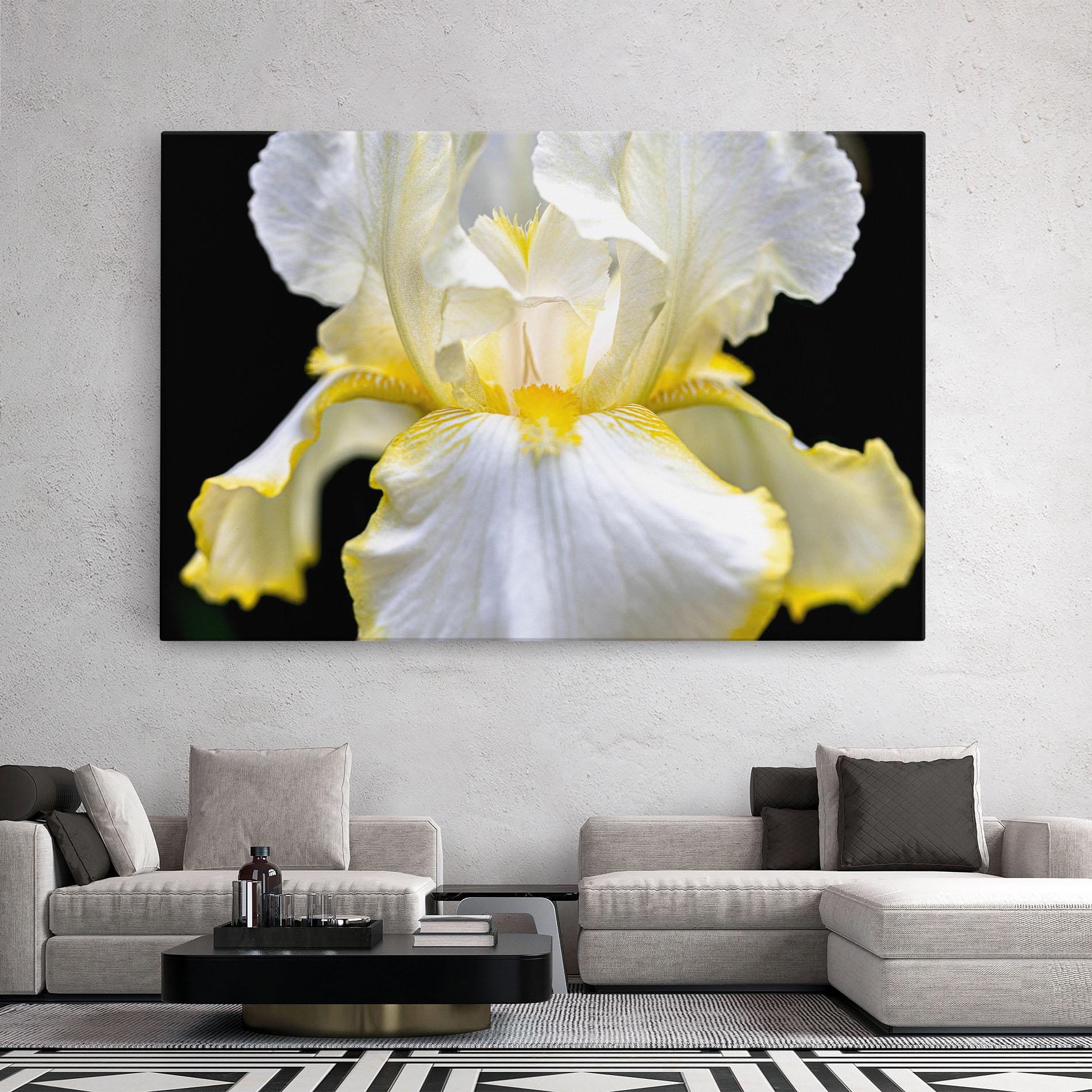 Vászonkép White Yellow Iris mockup 2