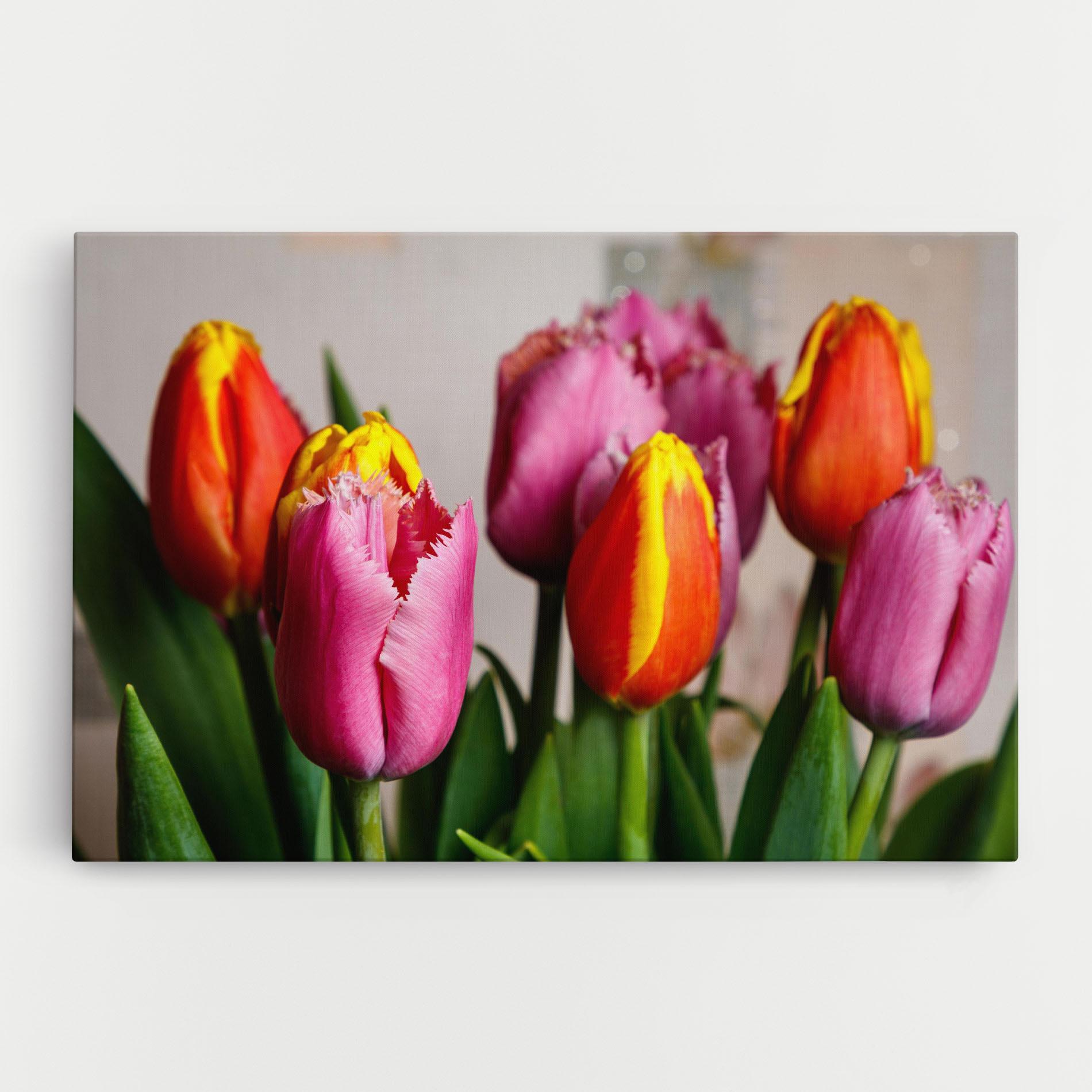 Vászonkép Pink Orange Tulips mockup 0