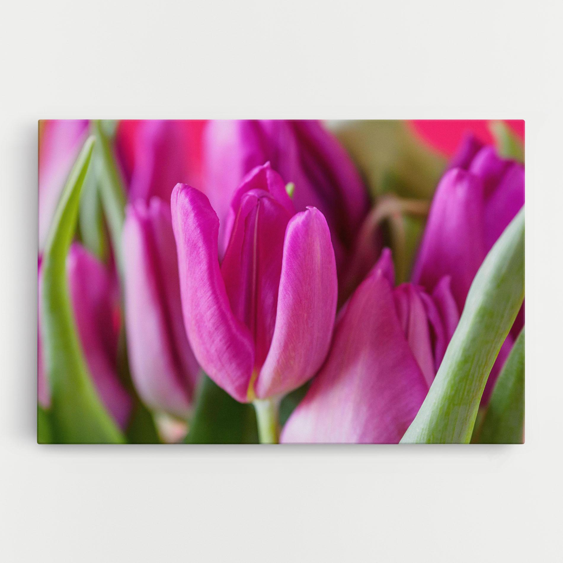 Vászonkép Purple Tulip Close Up mockup 0