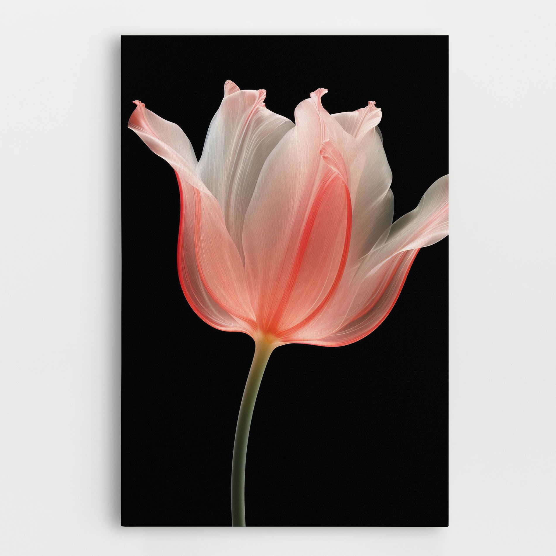 Pastel Pink Tulip mockup 0