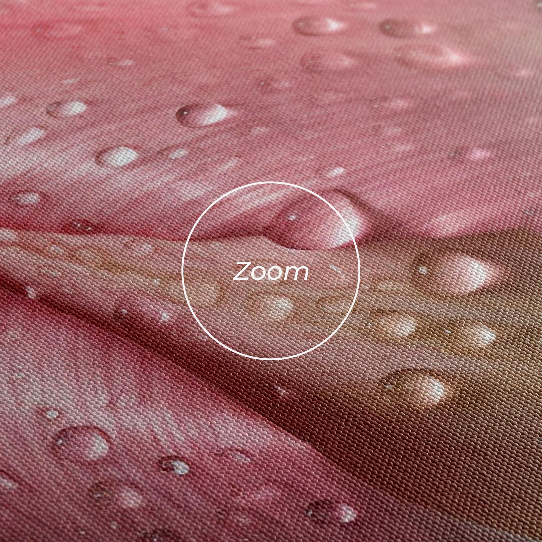 Vászonkép Pink Tulip With Drops mockup 3
