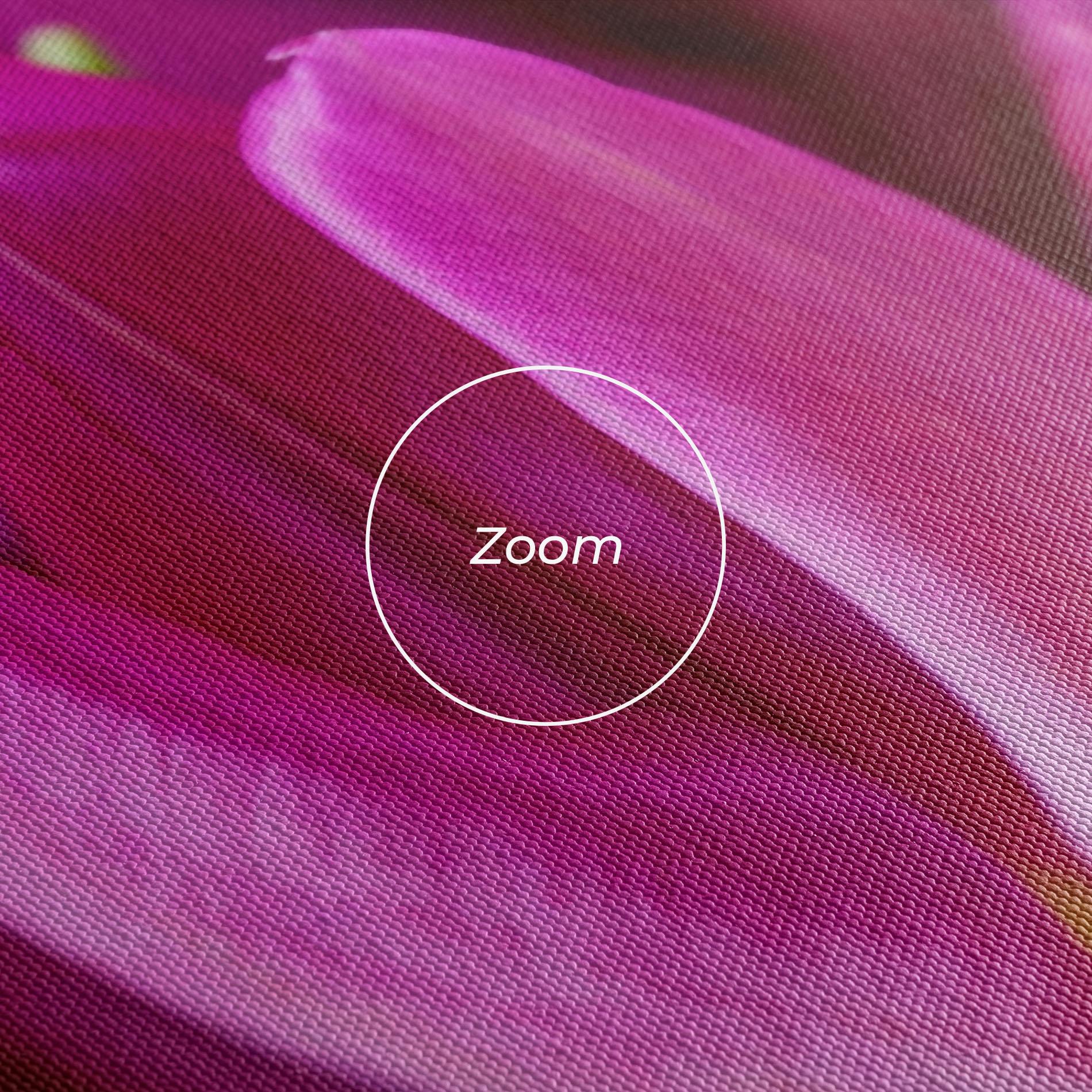 Vászonkép Purple Tulip Close Up mockup 3