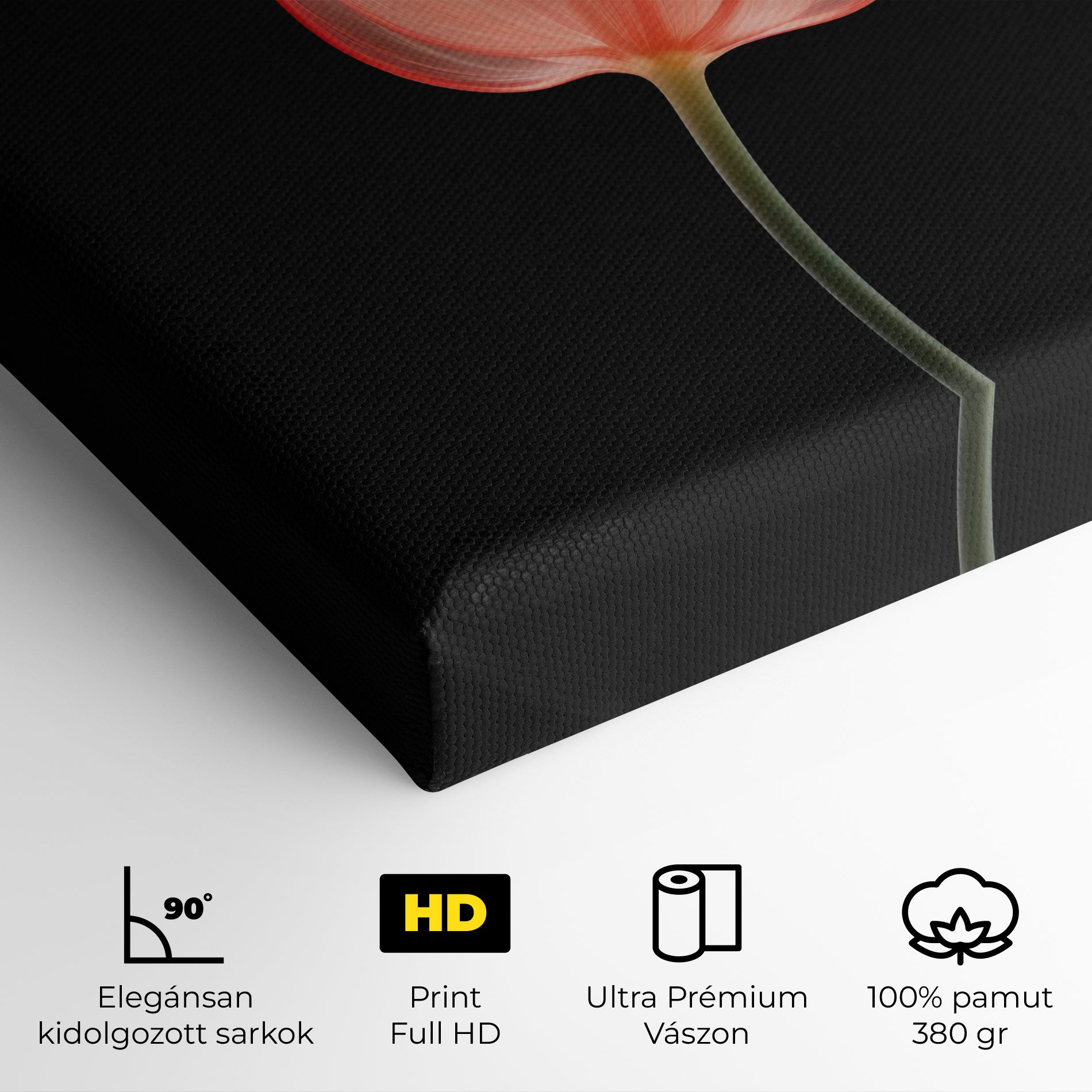 Pastel Pink Tulip mockup 4