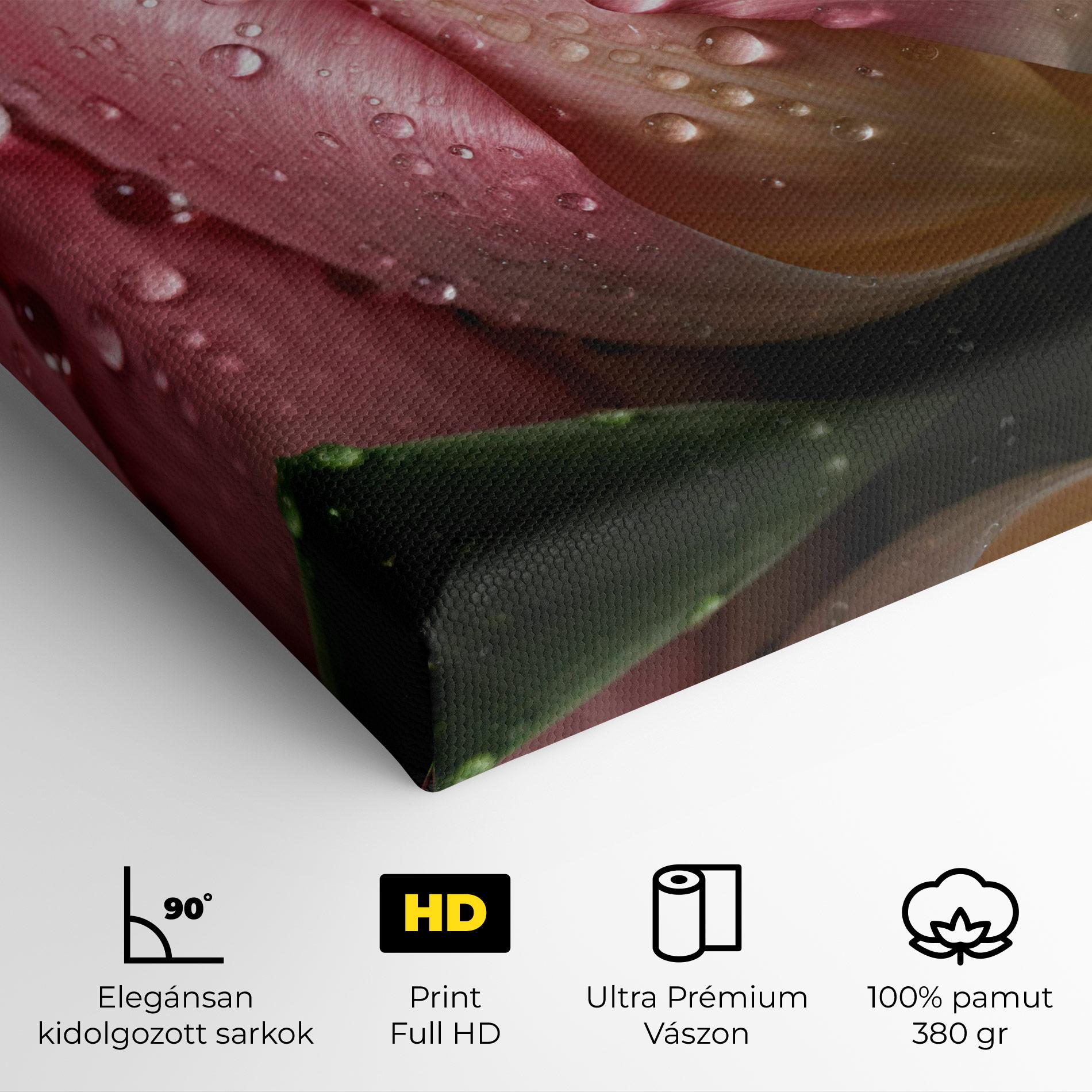 Vászonkép Pink Tulip With Drops mockup 4