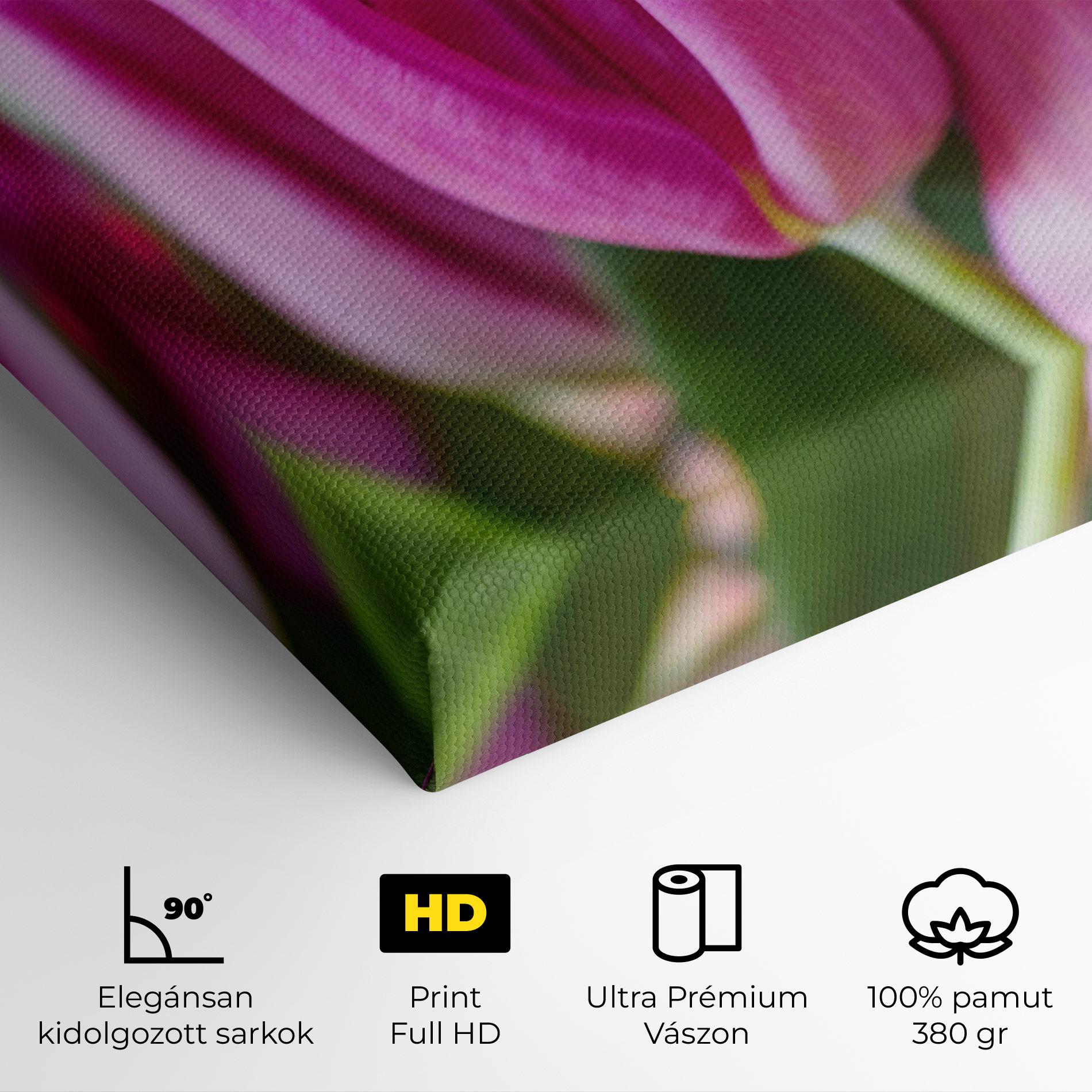 Vászonkép Purple Tulip Close Up mockup 4