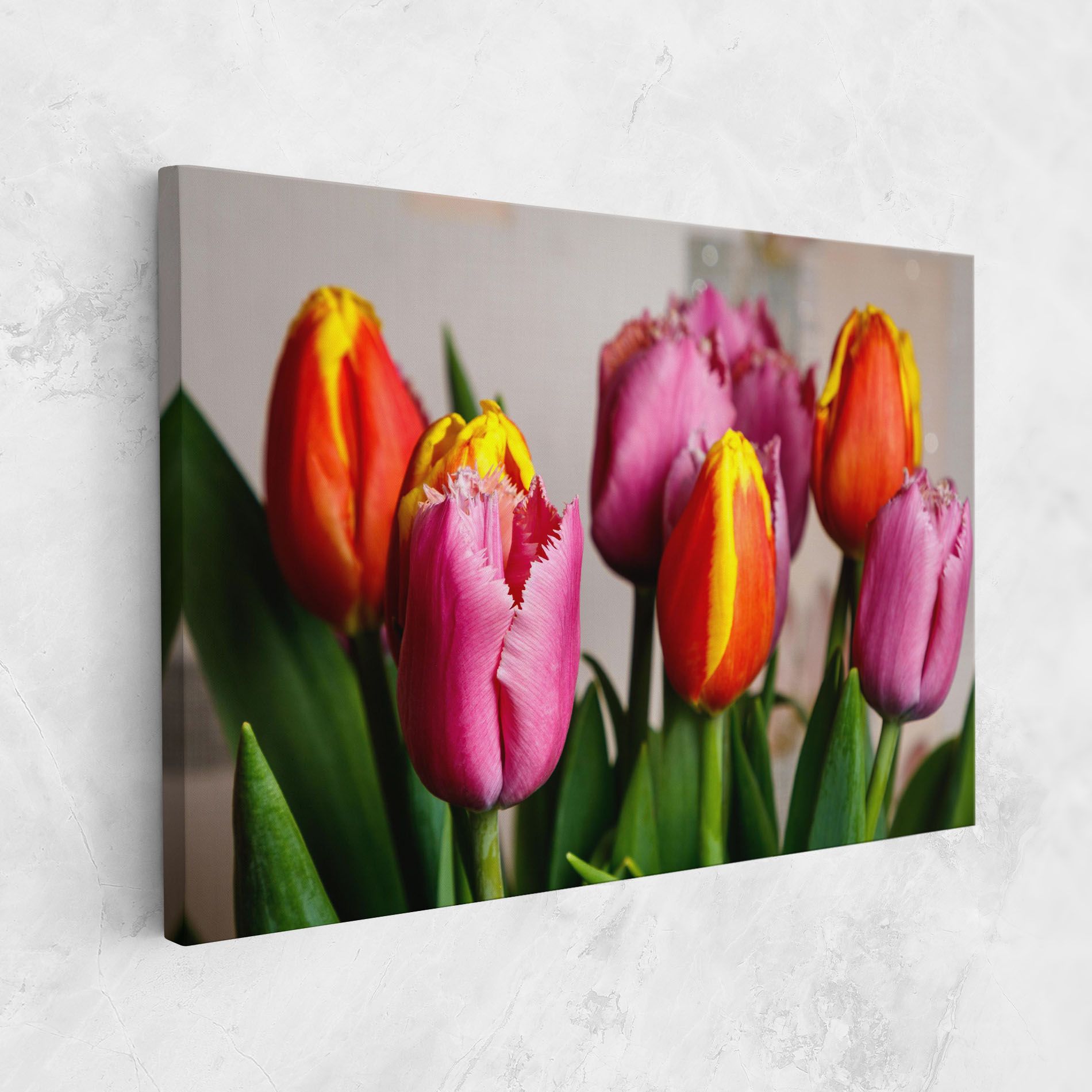 Pink Orange Tulips mockup 1