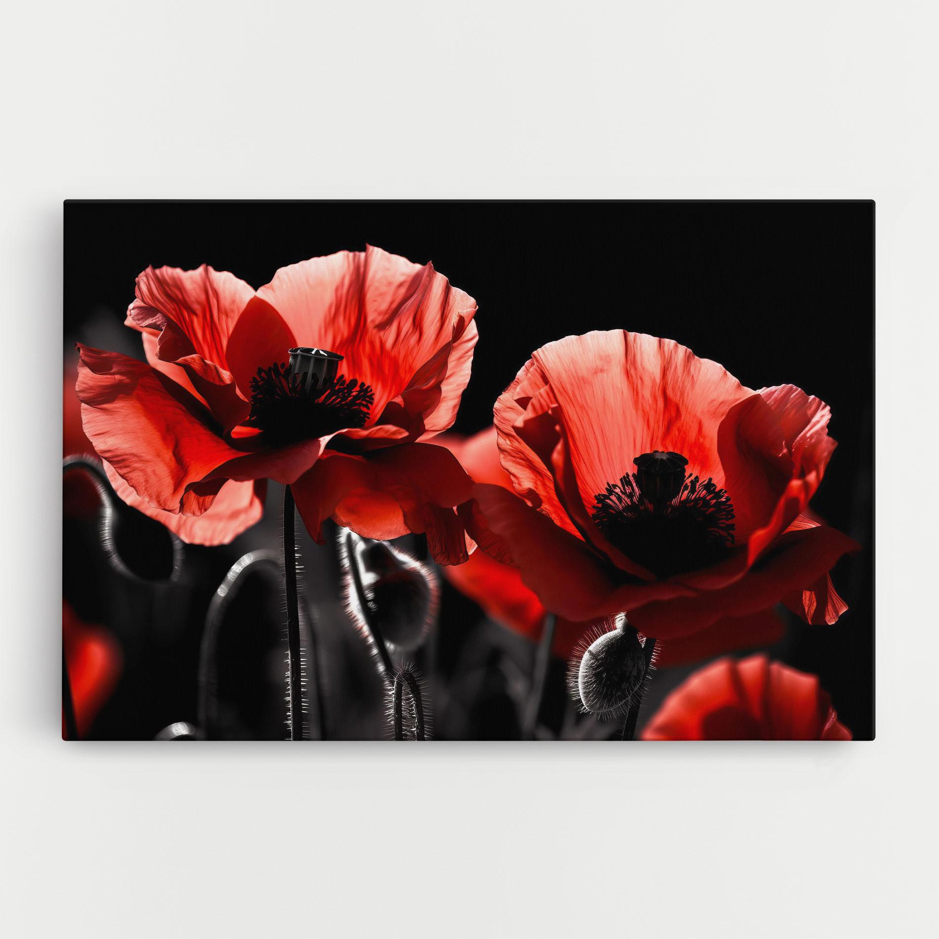 Vászonkép Light Red Poppy On Black mockup 0