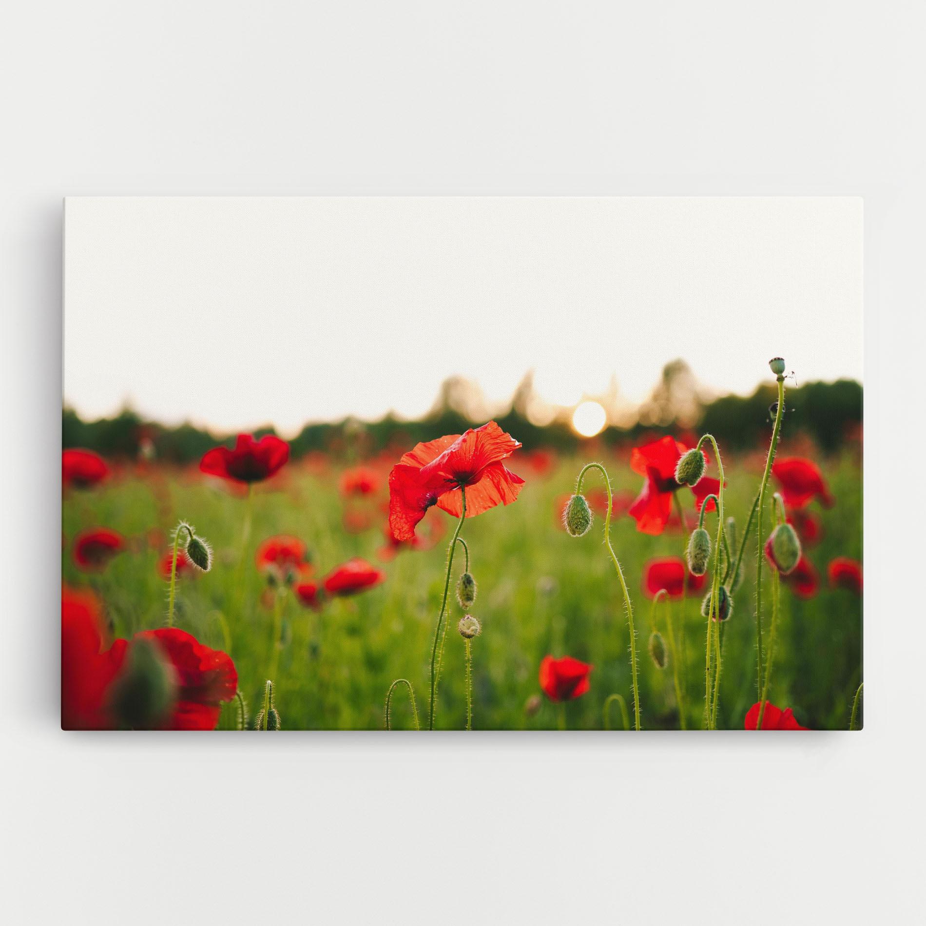 Vászonkép Poppies Field mockup 0