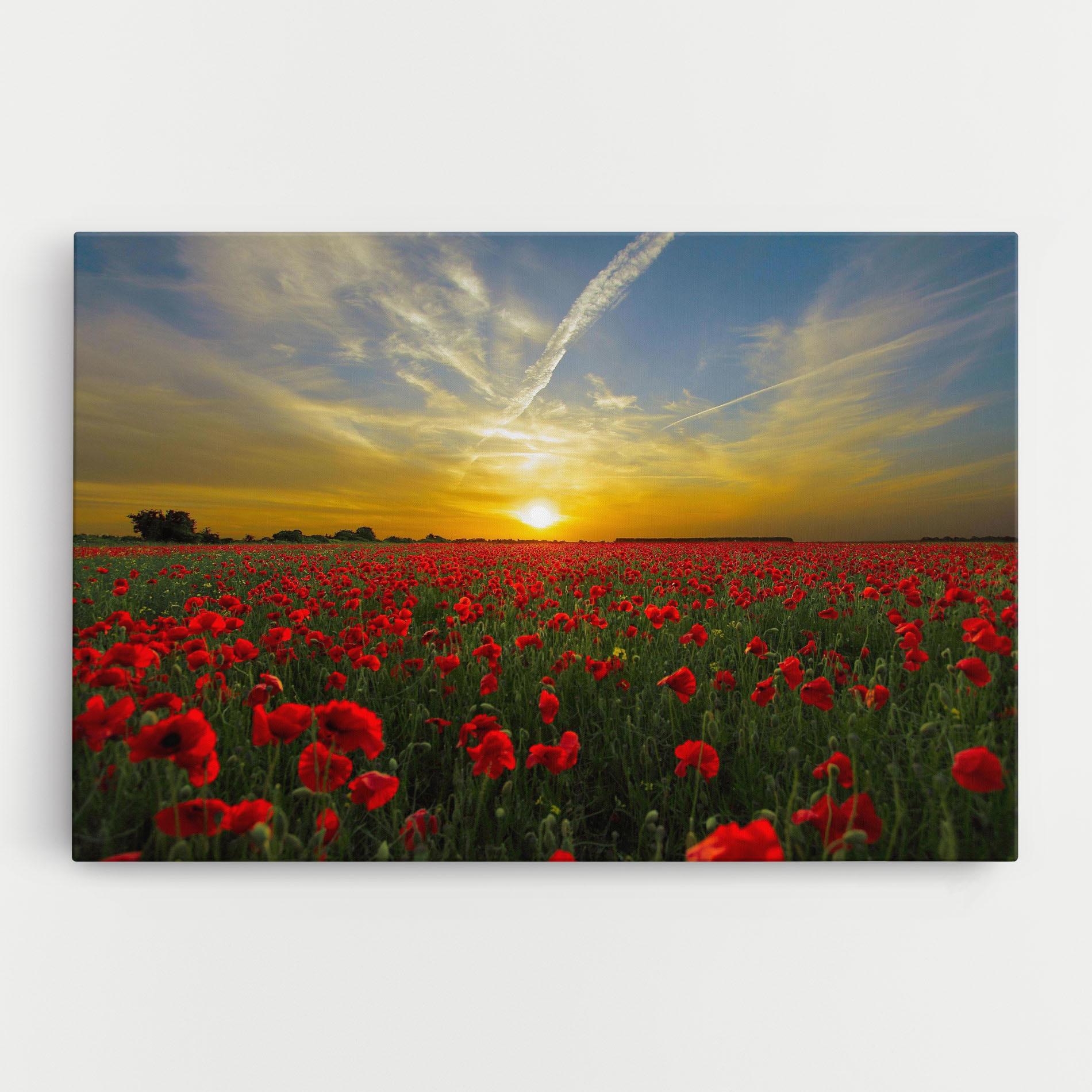 Vászonkép Poppies Sunset mockup 0