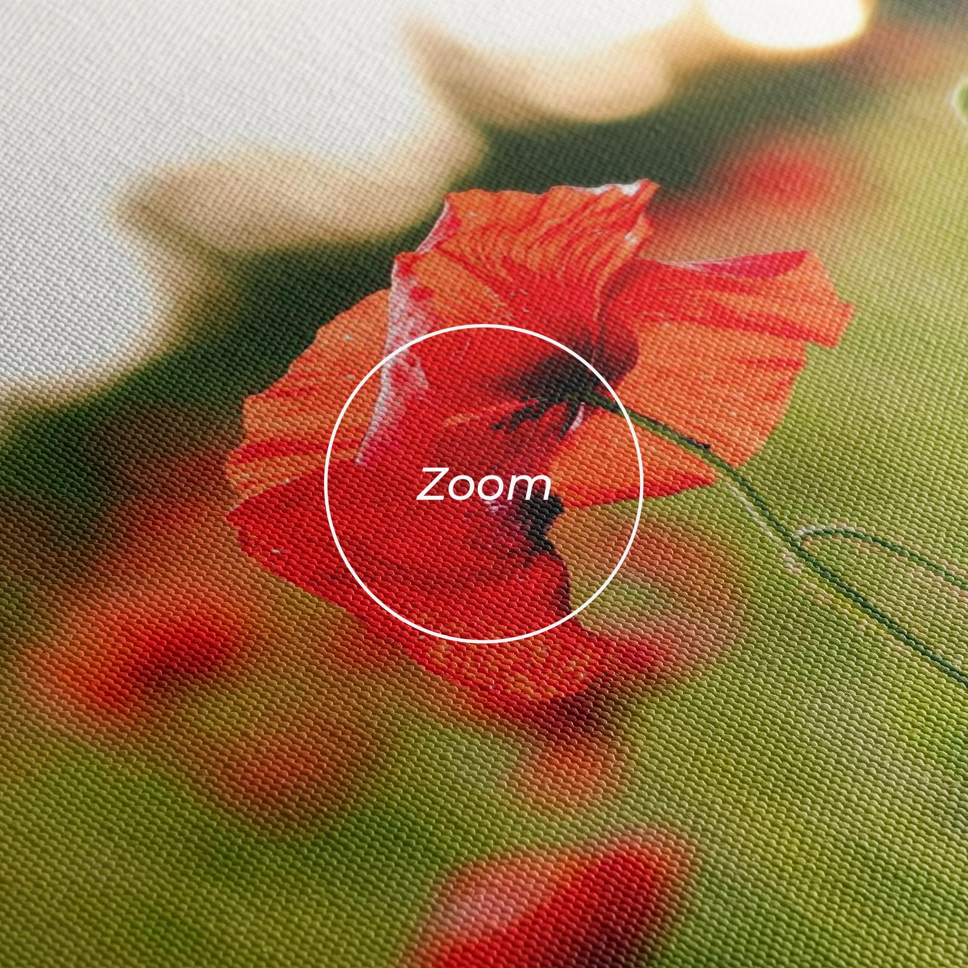 Vászonkép Poppies Field mockup 3