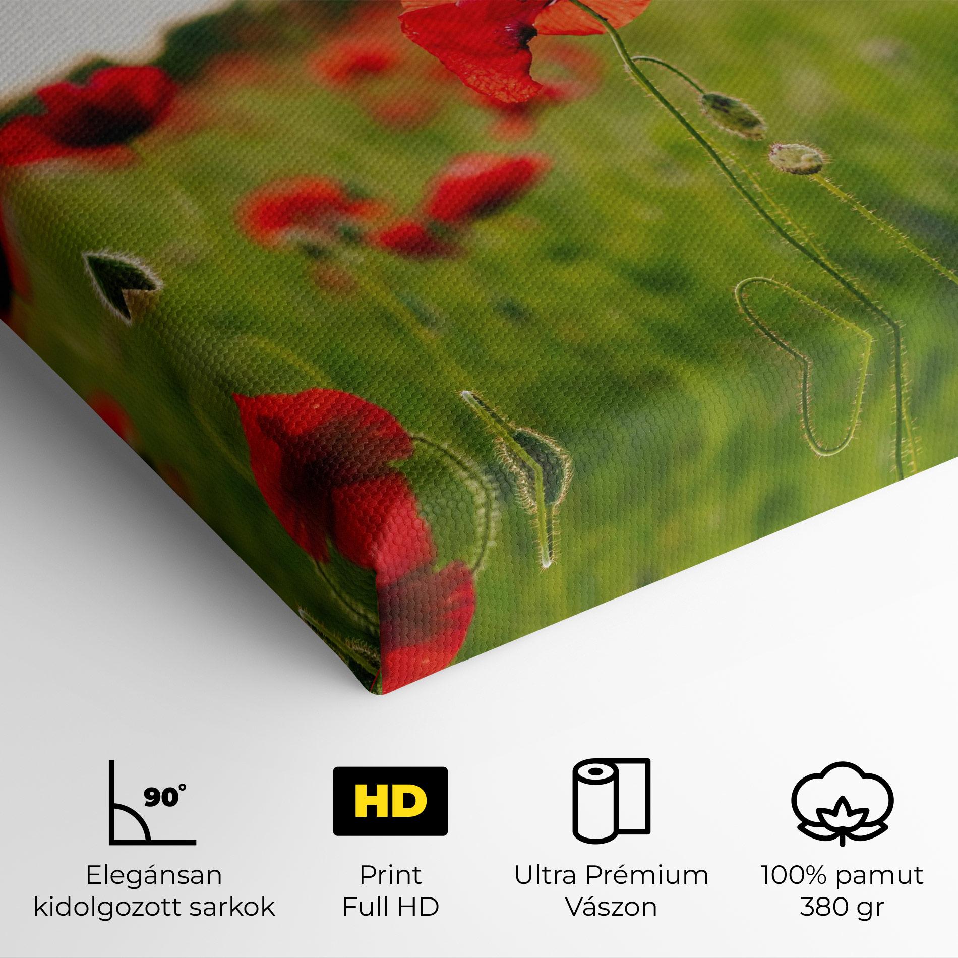Vászonkép Poppies Field mockup 4