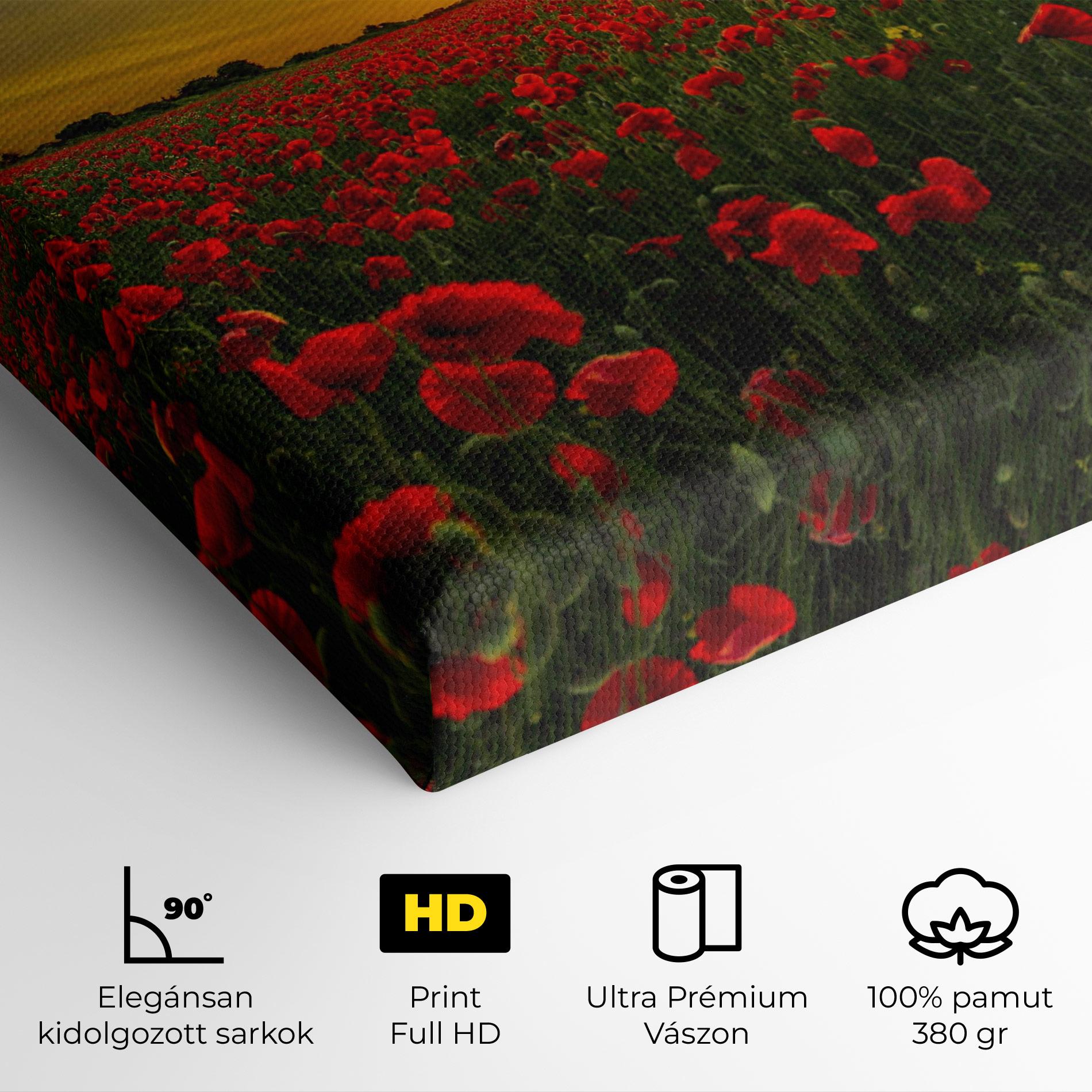 Vászonkép Poppies Sunset mockup 4