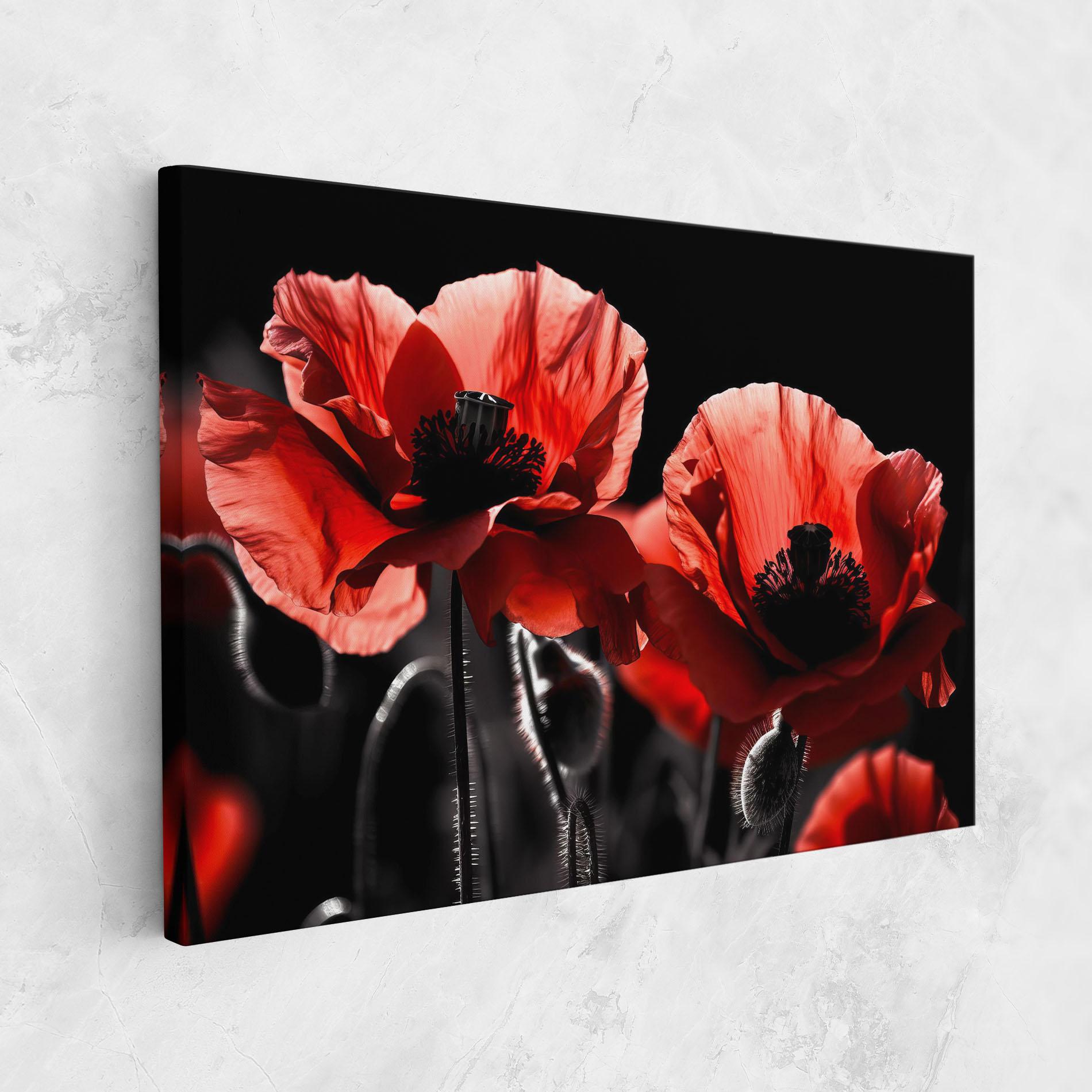 Vászonkép Light Red Poppy On Black mockup 1