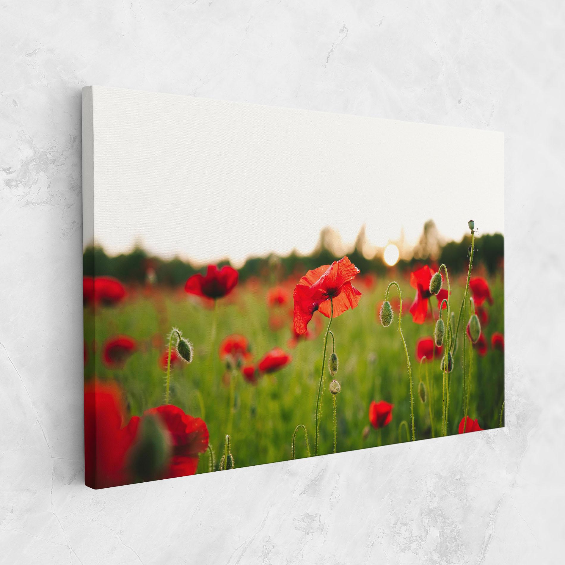 Vászonkép Poppies Field mockup 1