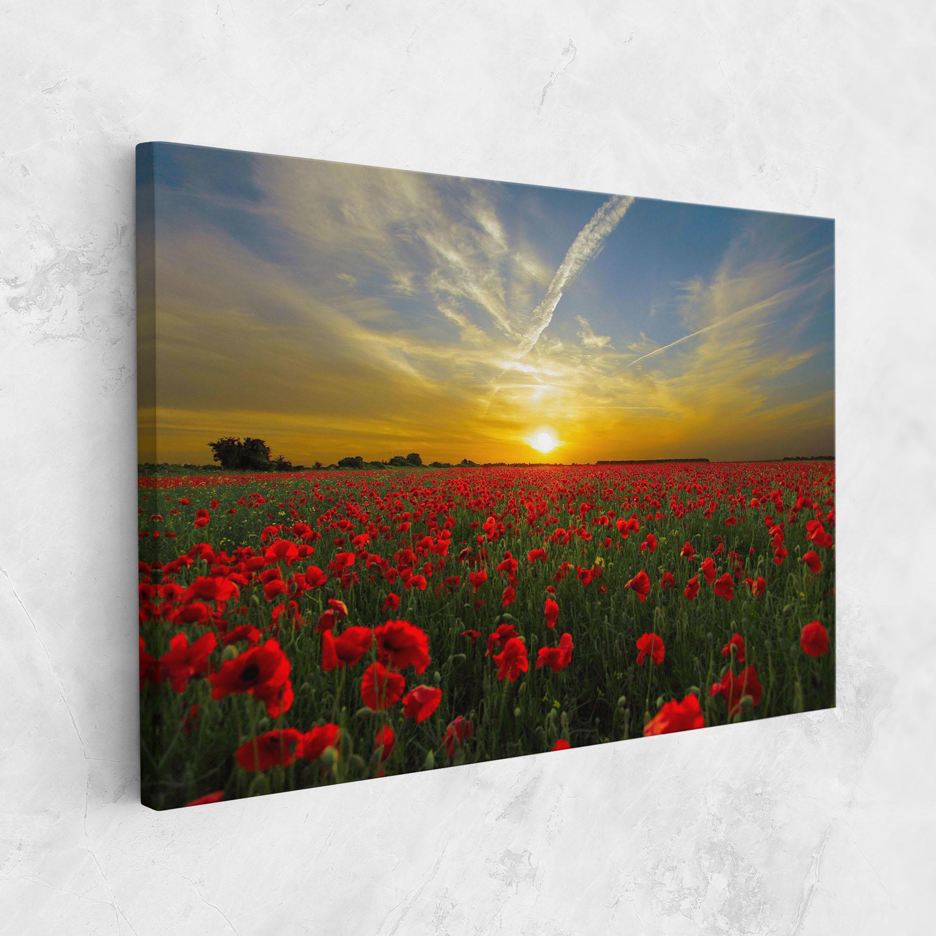 Vászonkép Poppies Sunset mockup 1