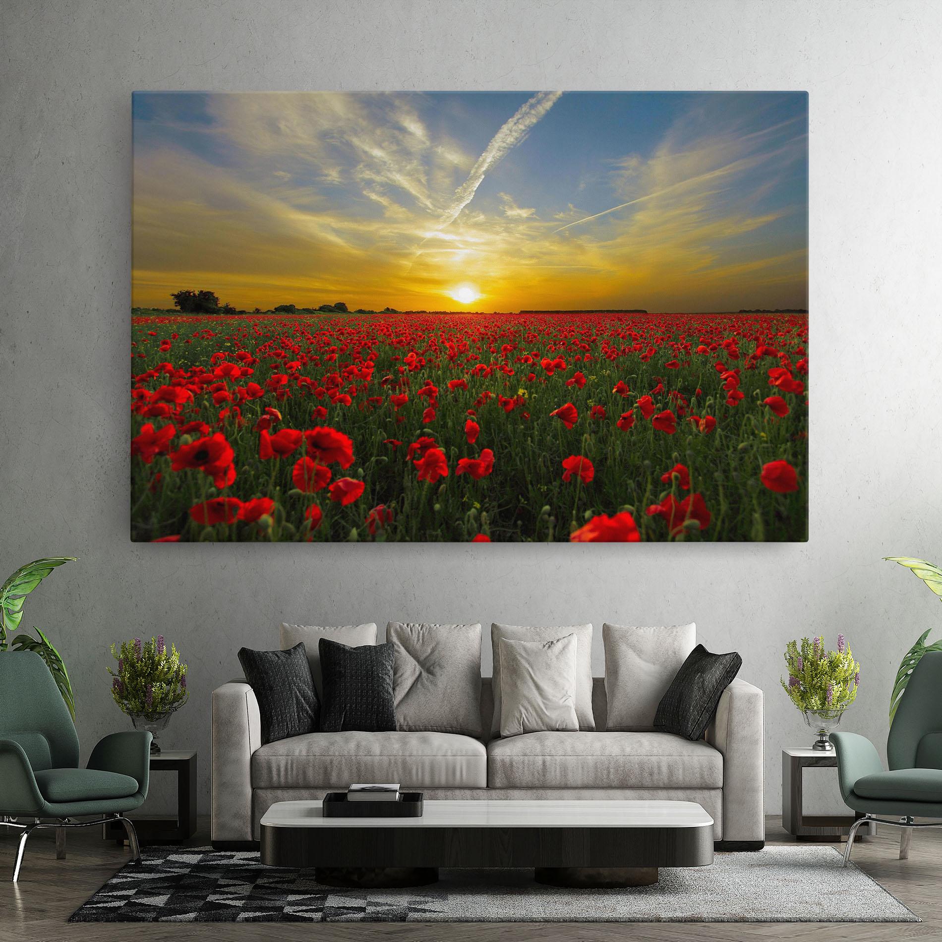 Vászonkép Poppies Sunset mockup 7
