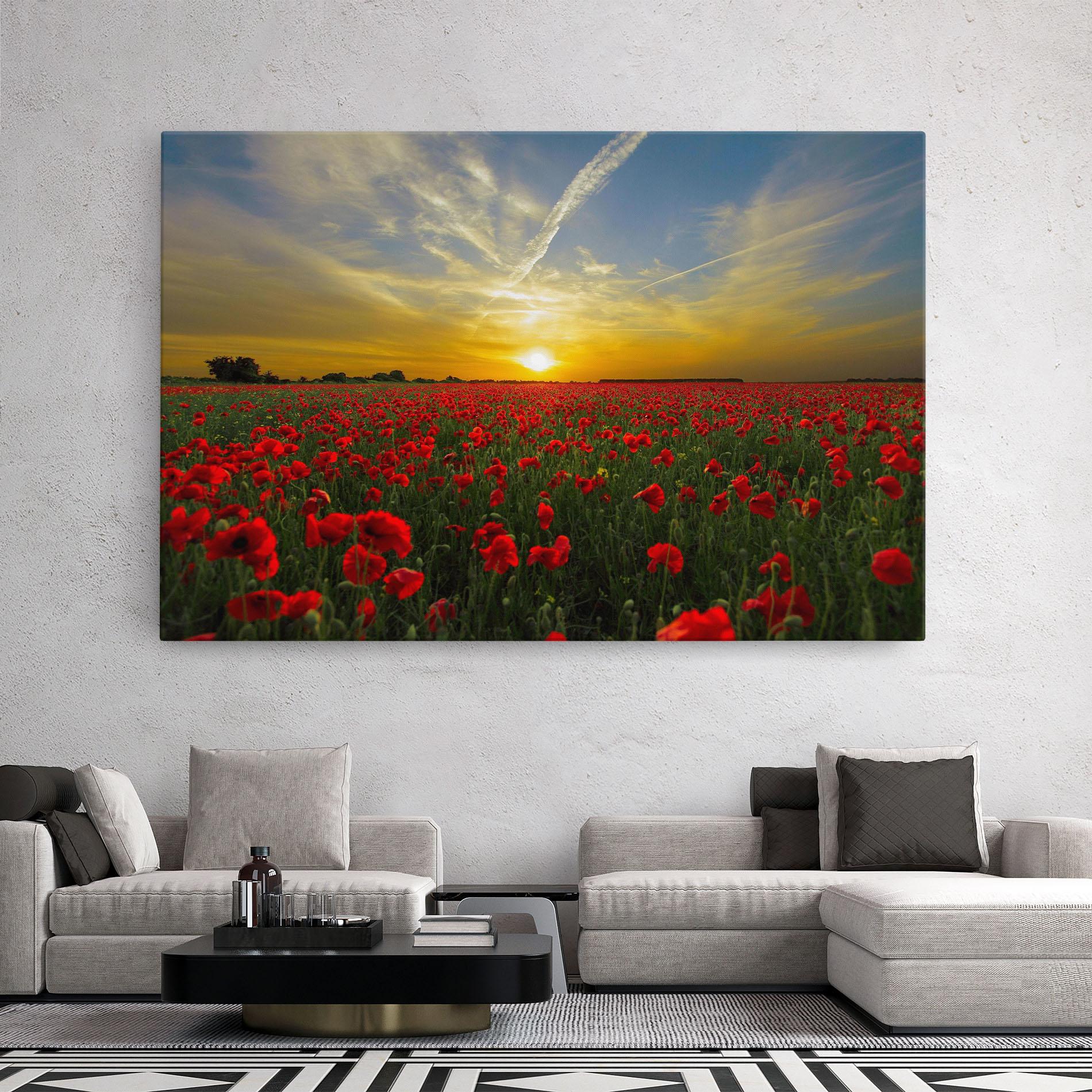 Vászonkép Poppies Sunset mockup 2