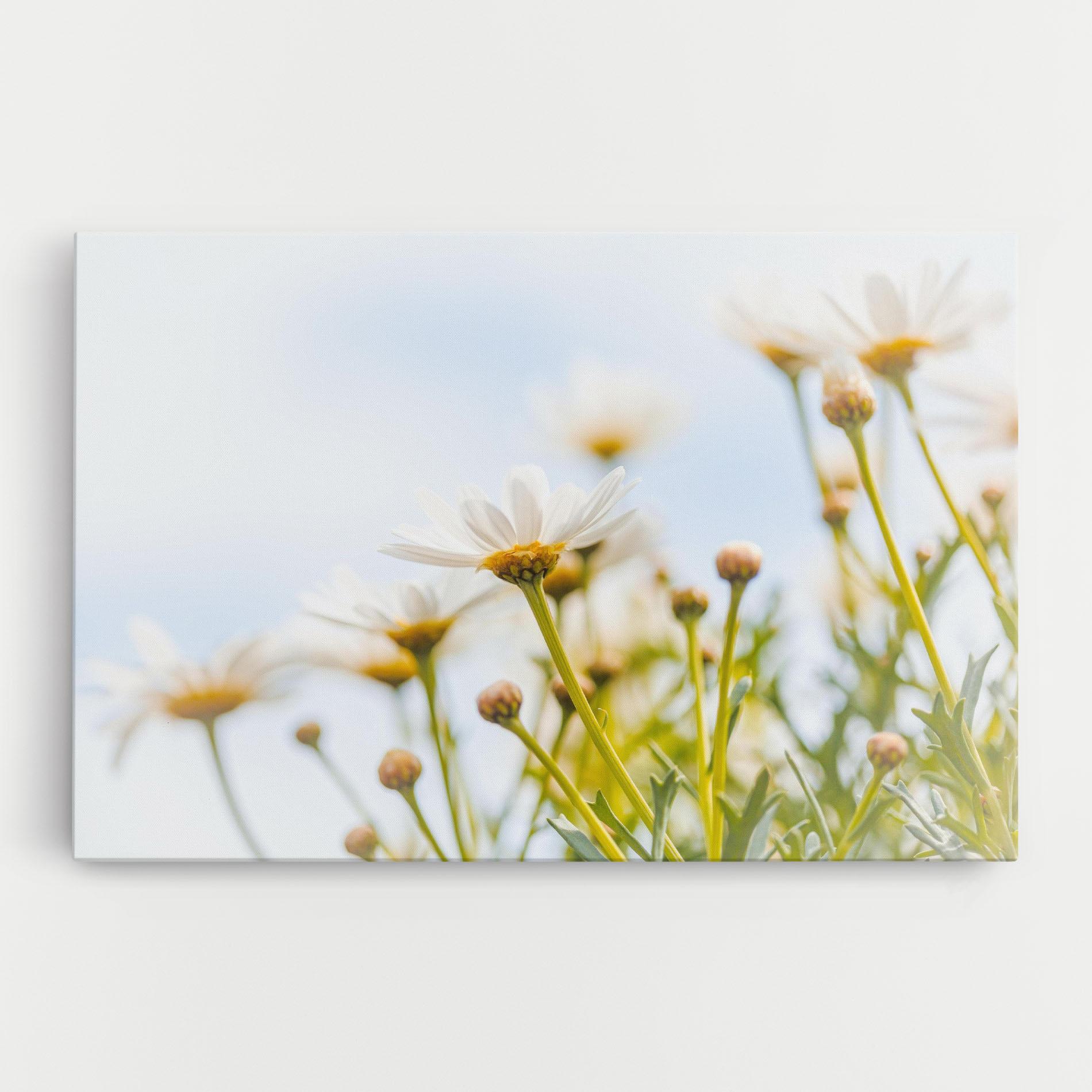 Vászonkép Dreamy Daisy mockup 0