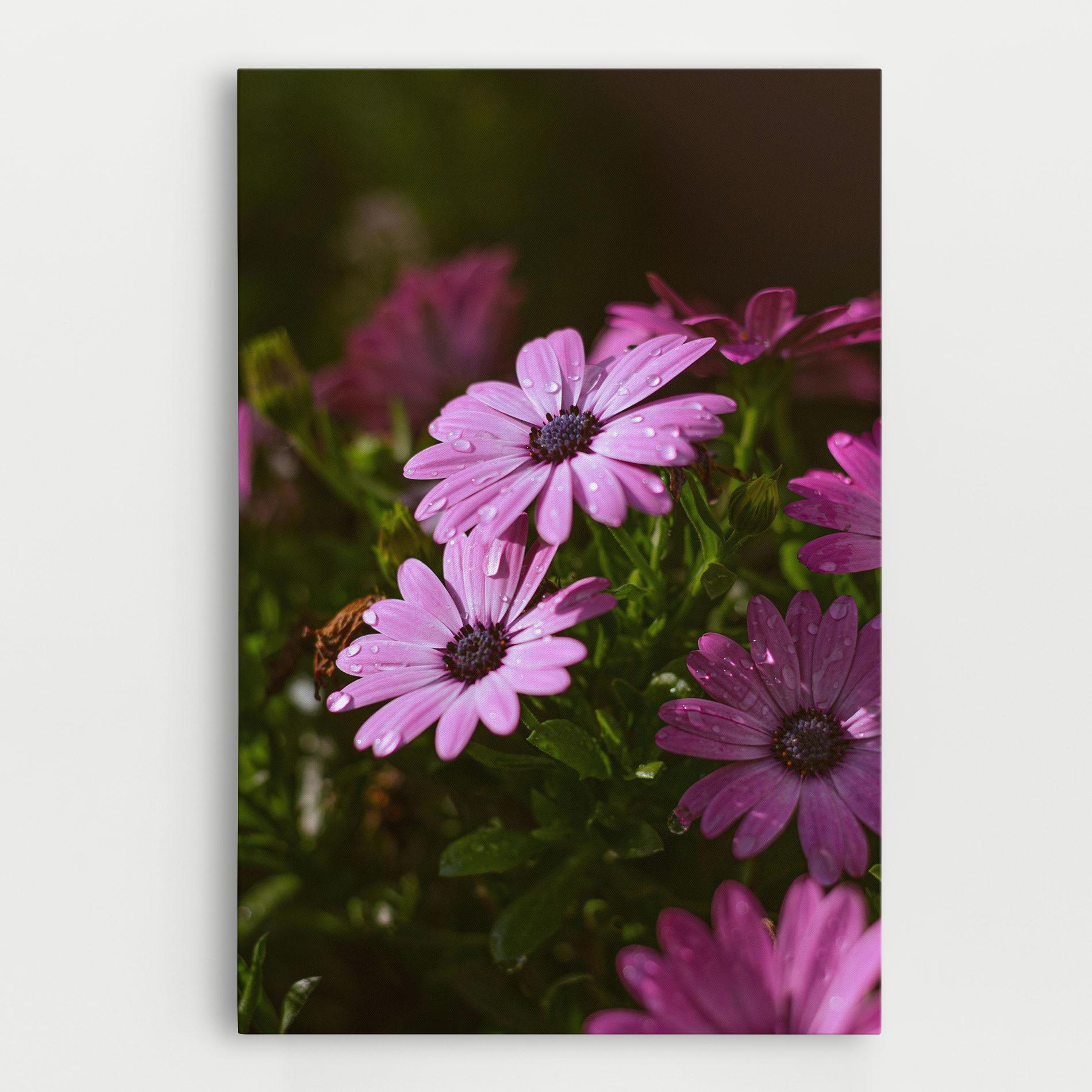 Vászonkép Purple Daisy mockup 0