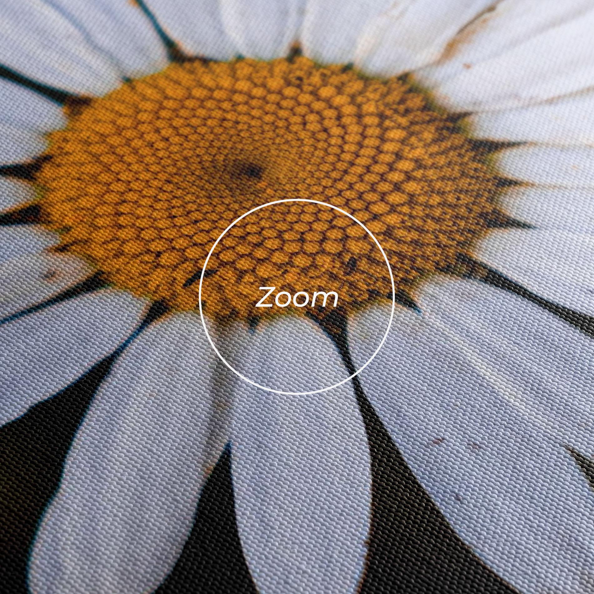 Vászonkép Big Yellow Center Daisy mockup 3