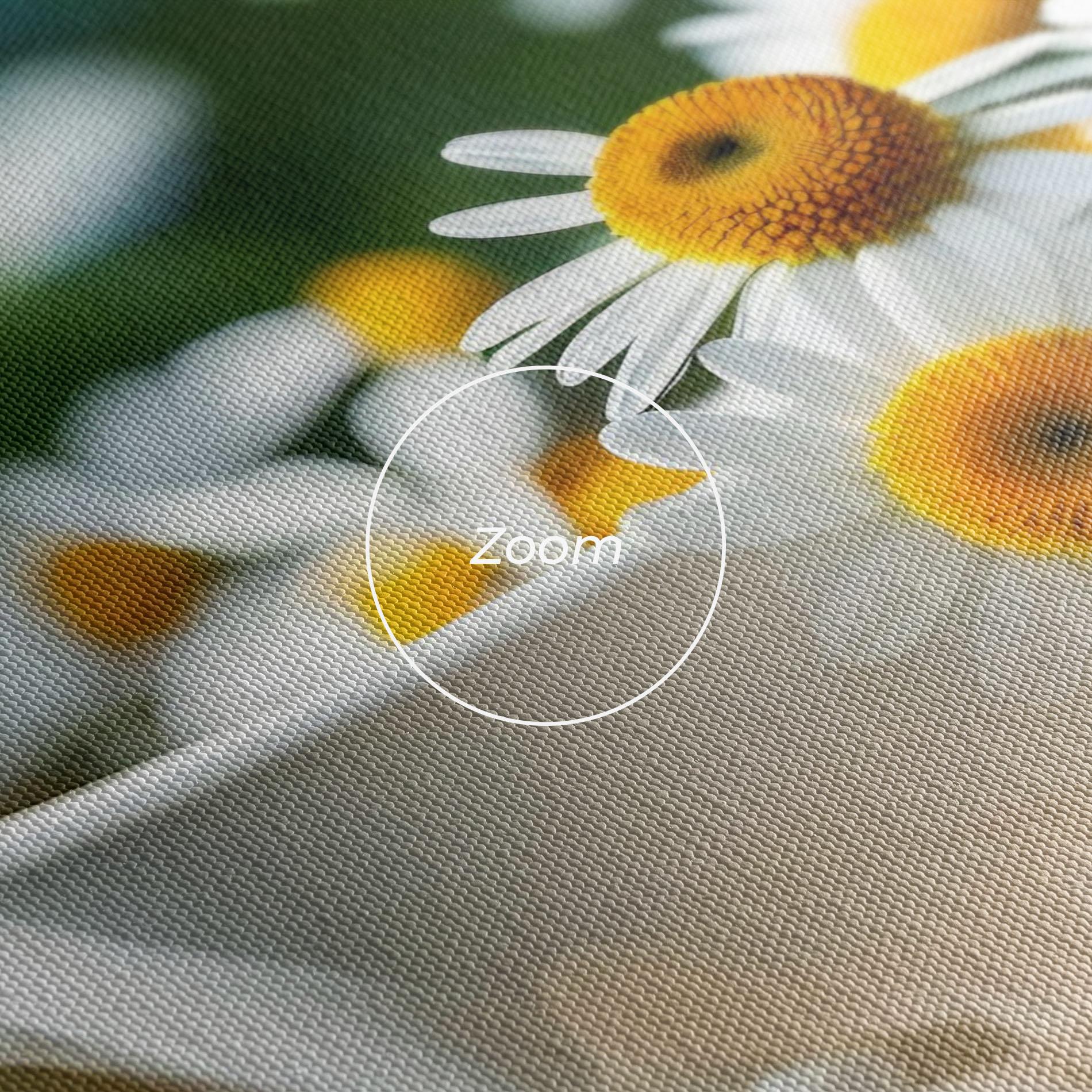 Vászonkép Daisies In A Cup mockup 3
