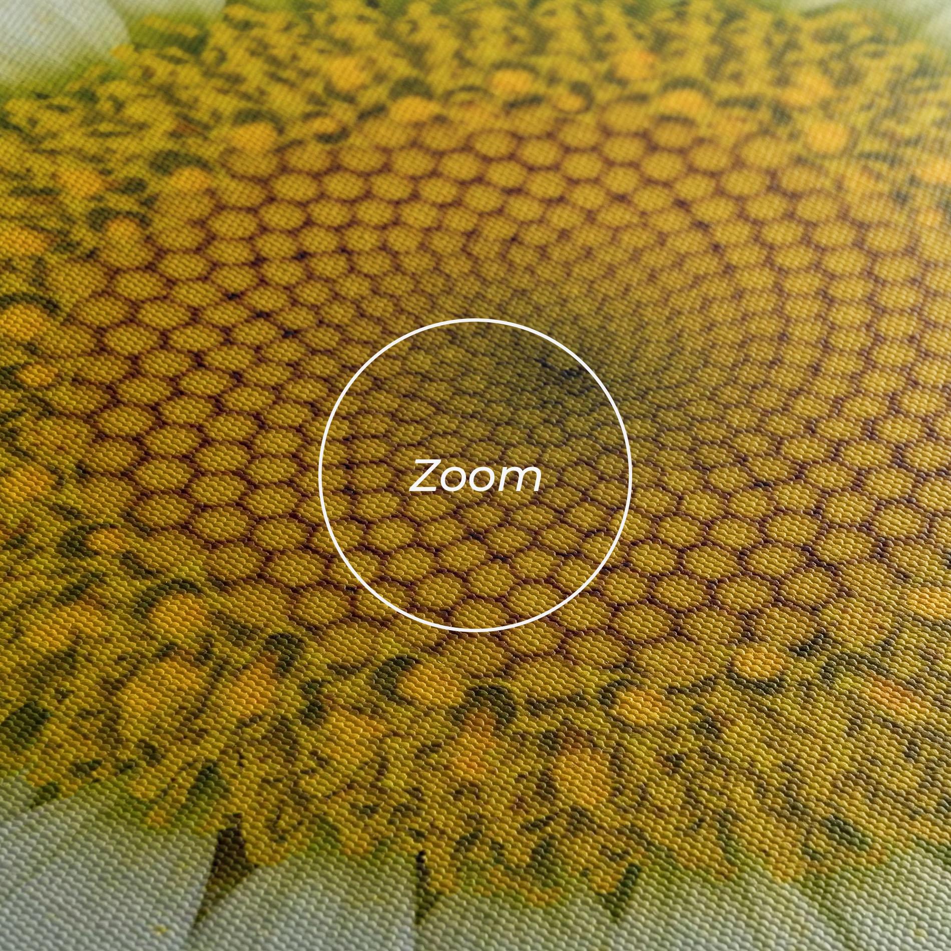 Vászonkép Daisy Close Up mockup 3