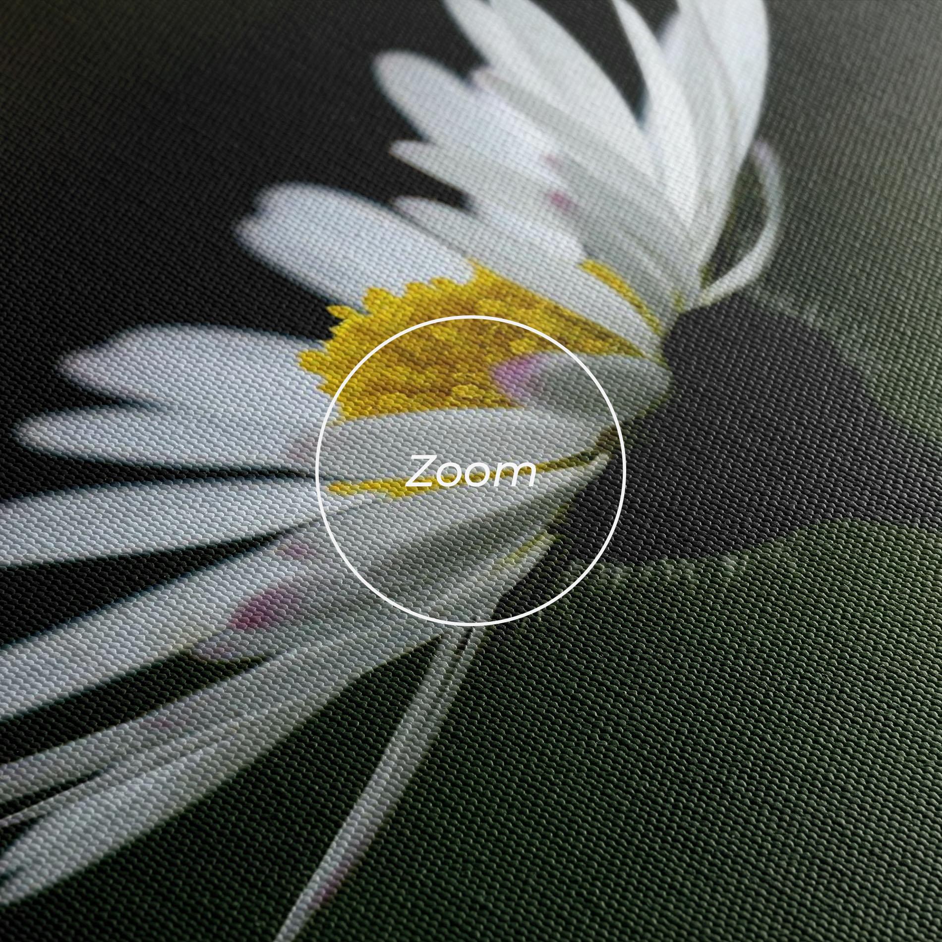 Vászonkép Garden Daisy mockup 3