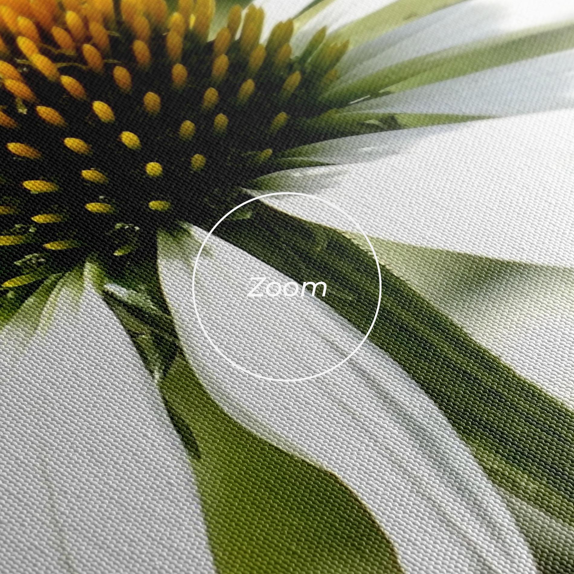 Vászonkép Green Daisy mockup 3