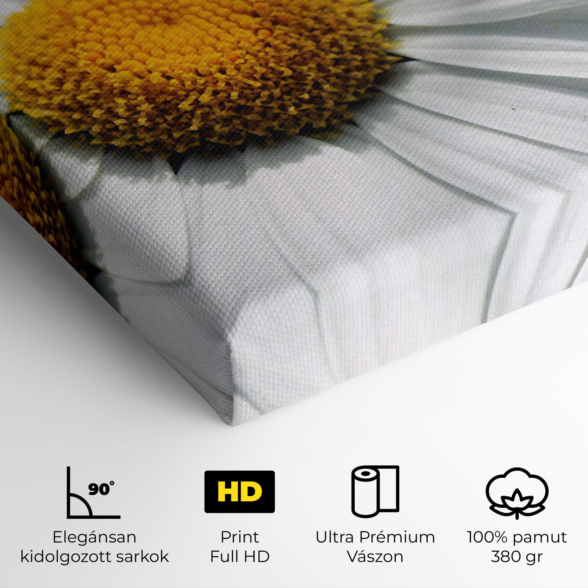 Vászonkép Big Daisies mockup 4