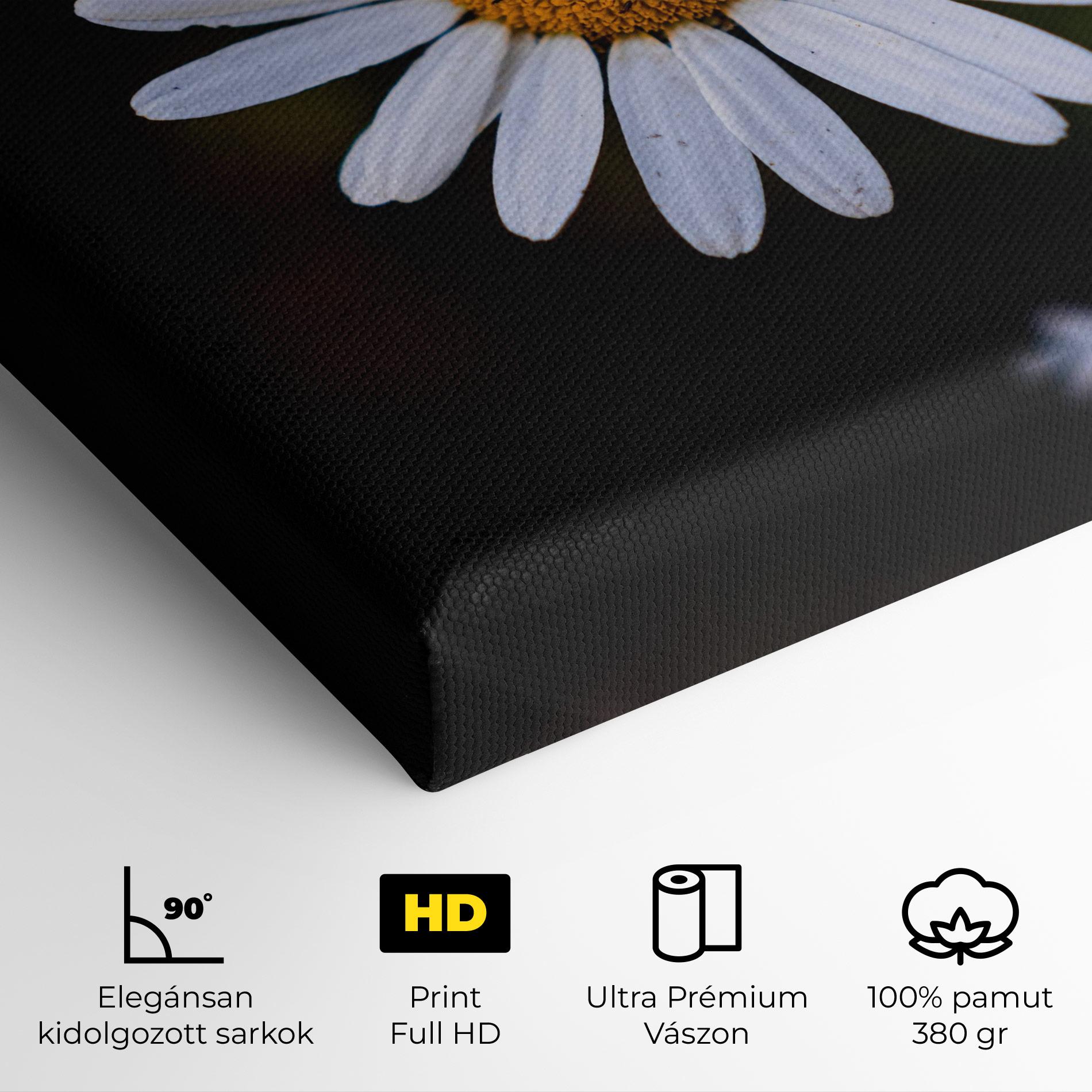 Vászonkép Big Yellow Center Daisy mockup 4