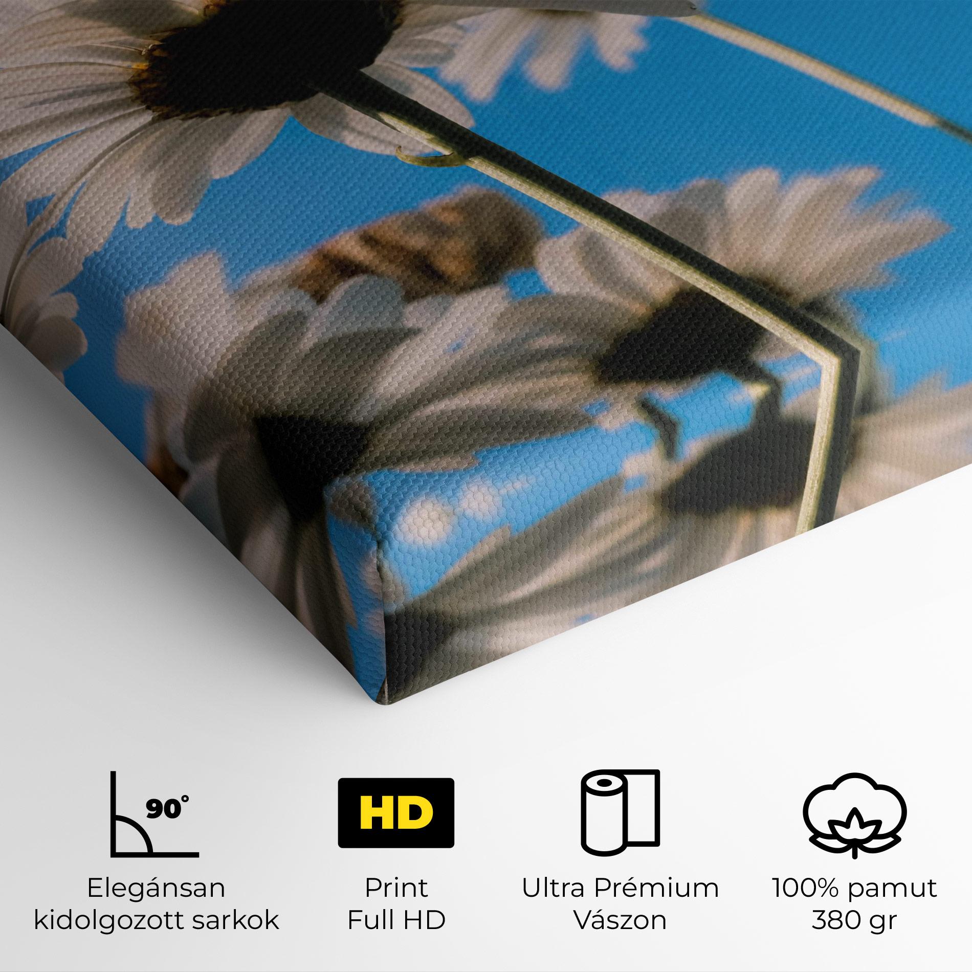 Vászonkép Blue Sky Daisy mockup 4