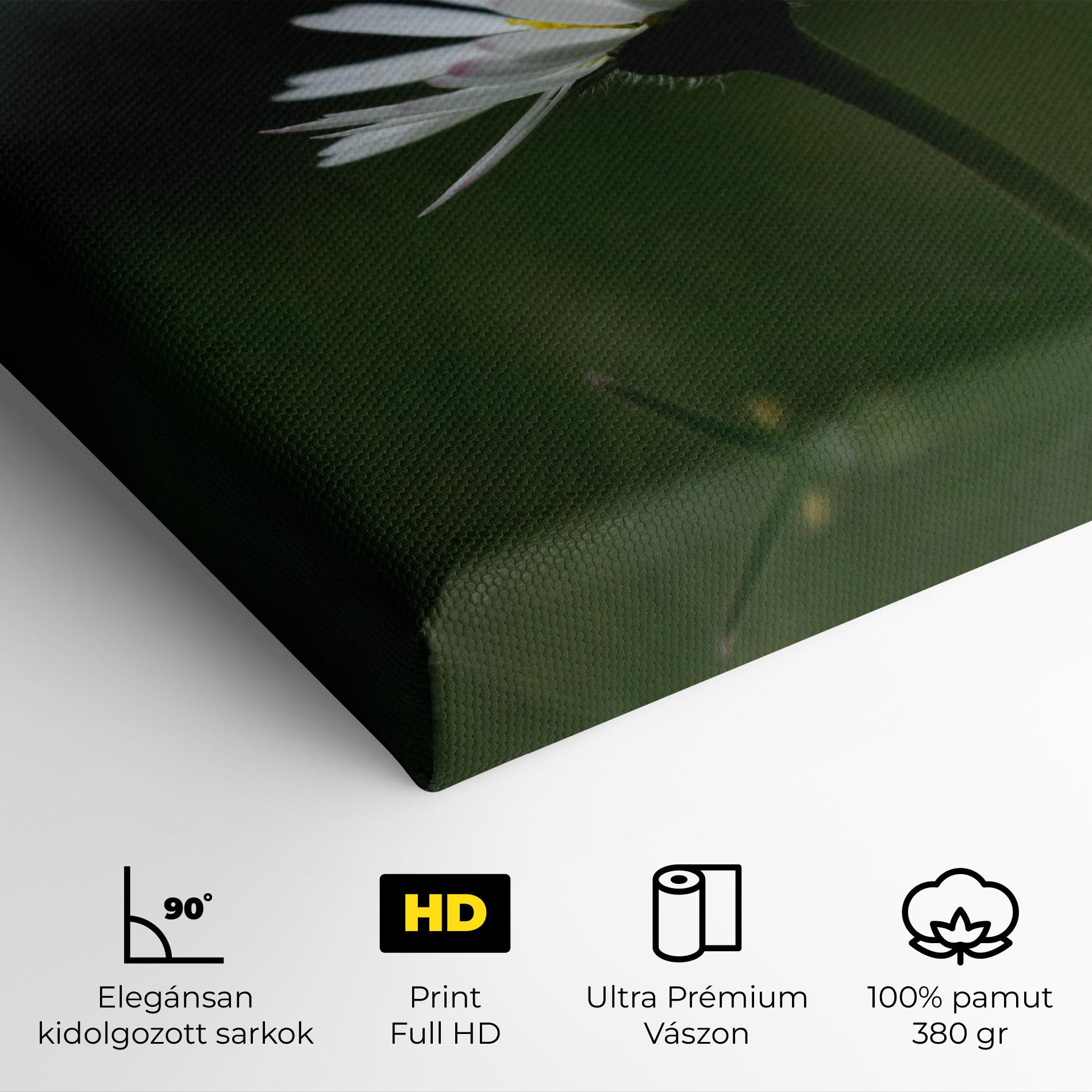 Vászonkép Garden Daisy mockup 4