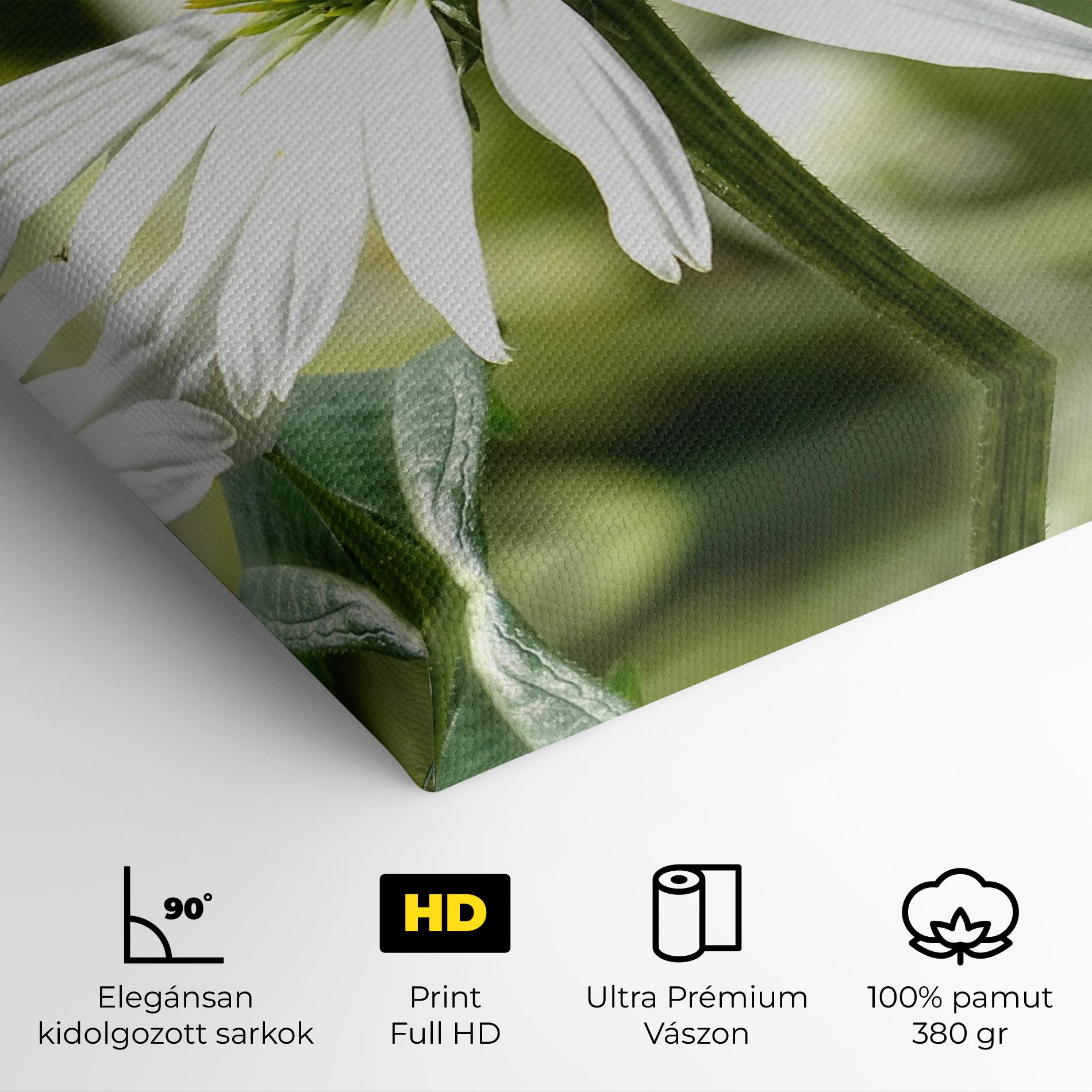 Vászonkép Green Daisy mockup 4